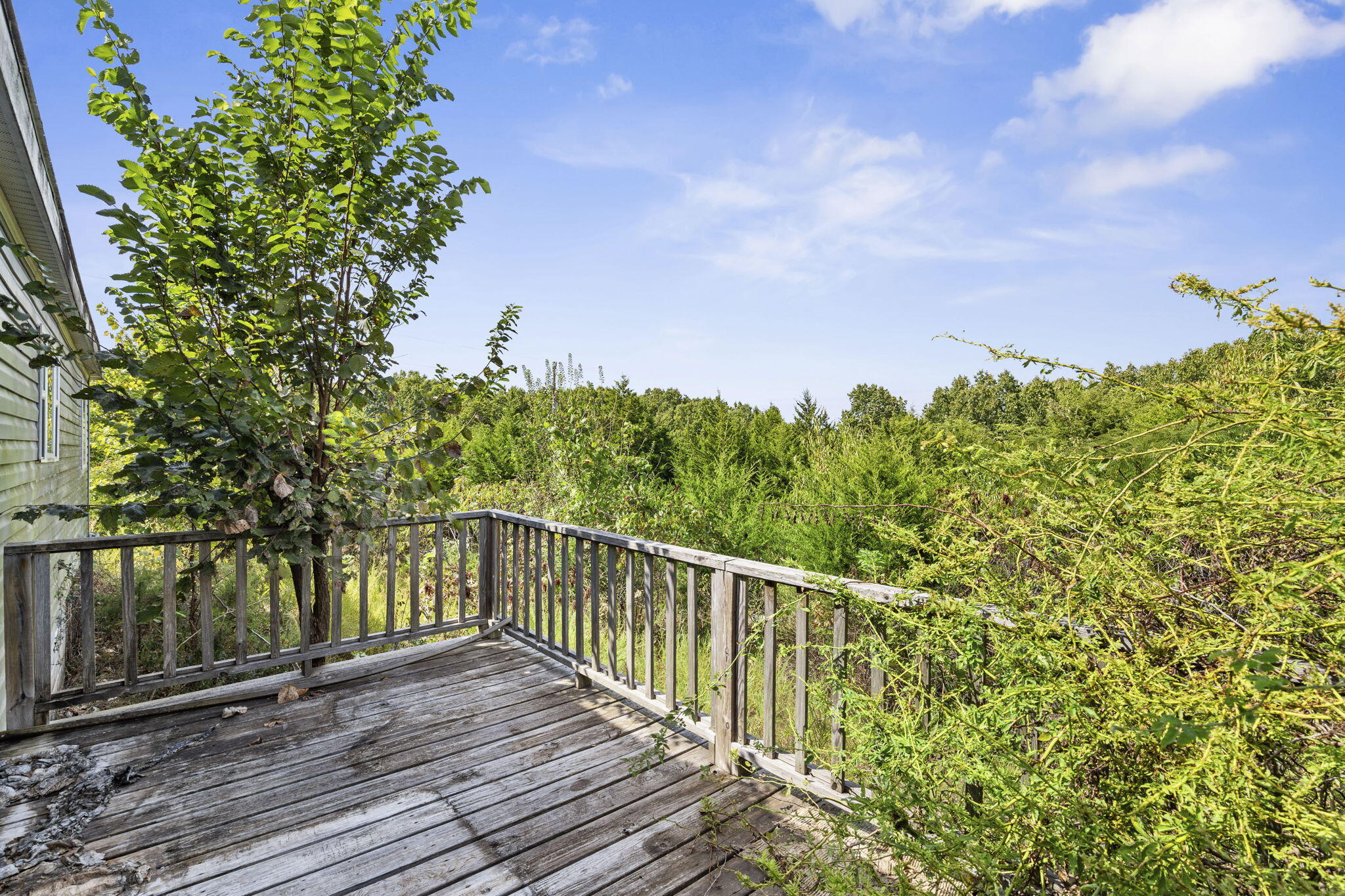 main property photo 53