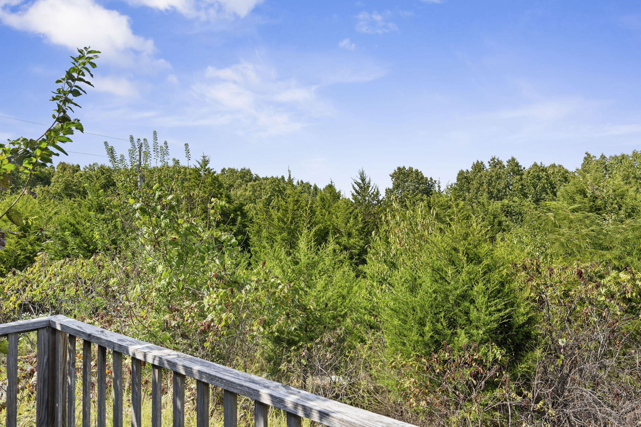 main property photo 54
