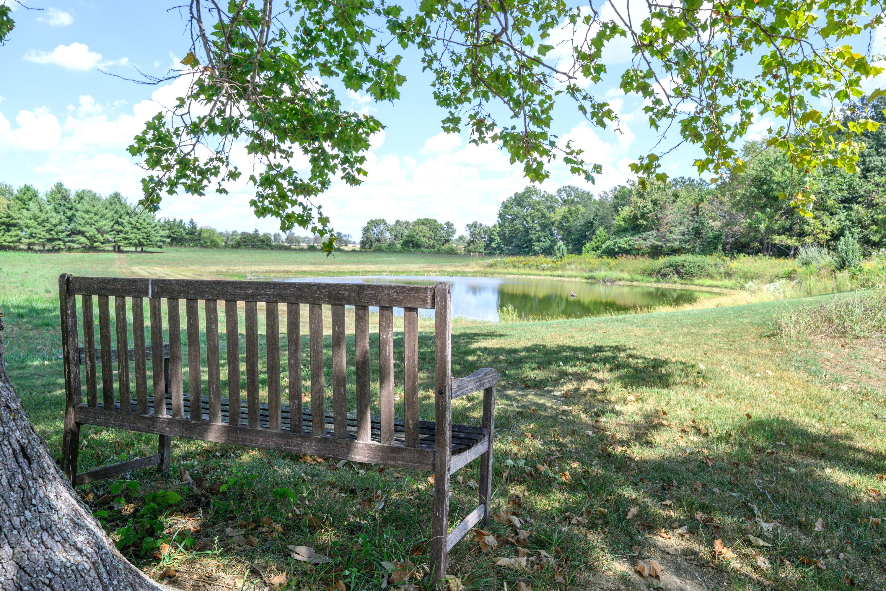 main property photo 50