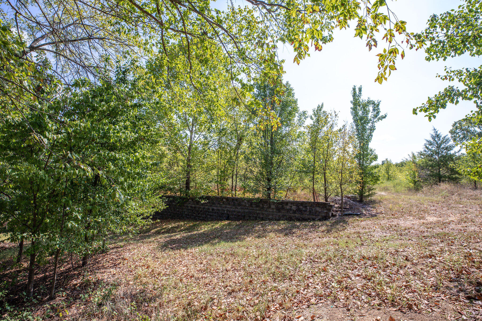 main property photo 18