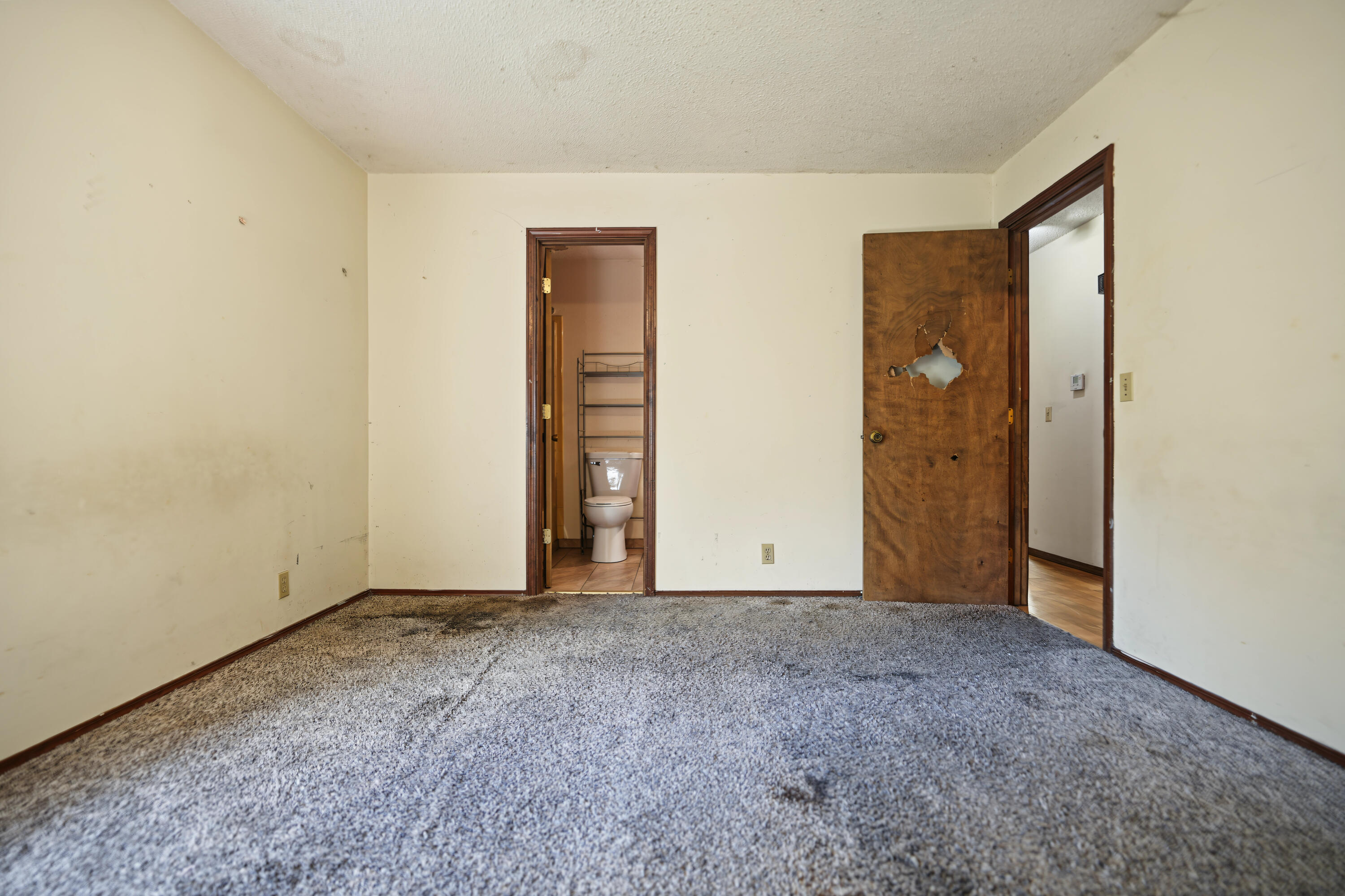 main property photo 57