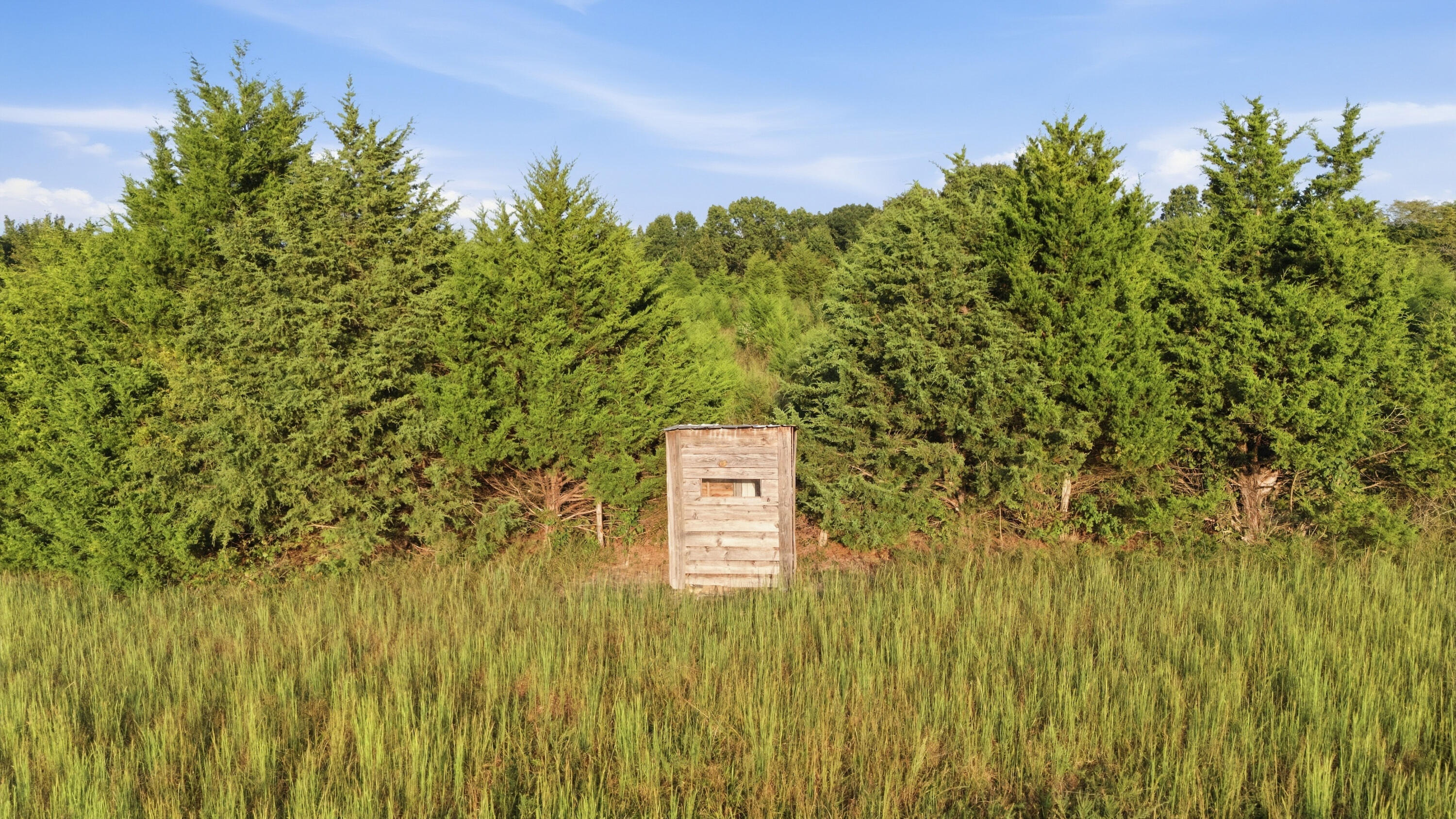 main property photo 62