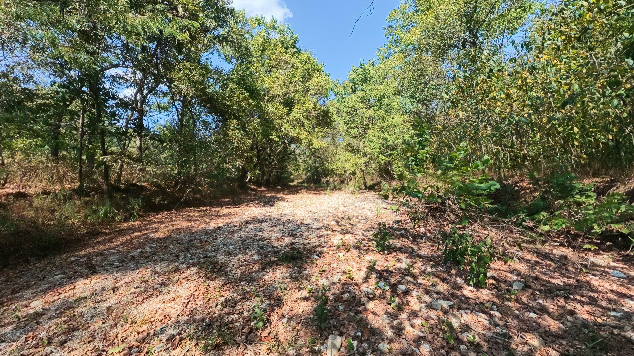 main property photo 35