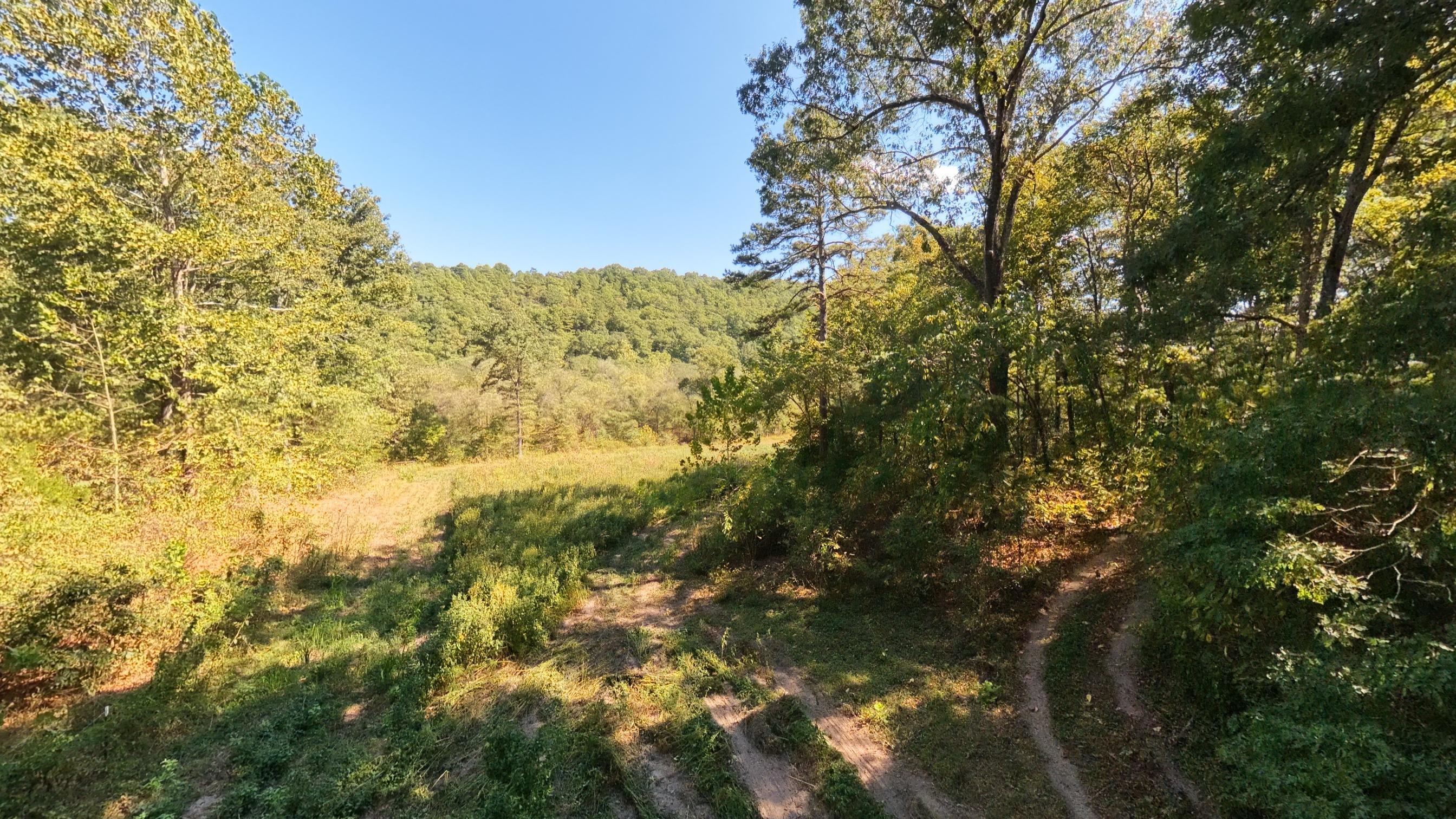 main property photo 43