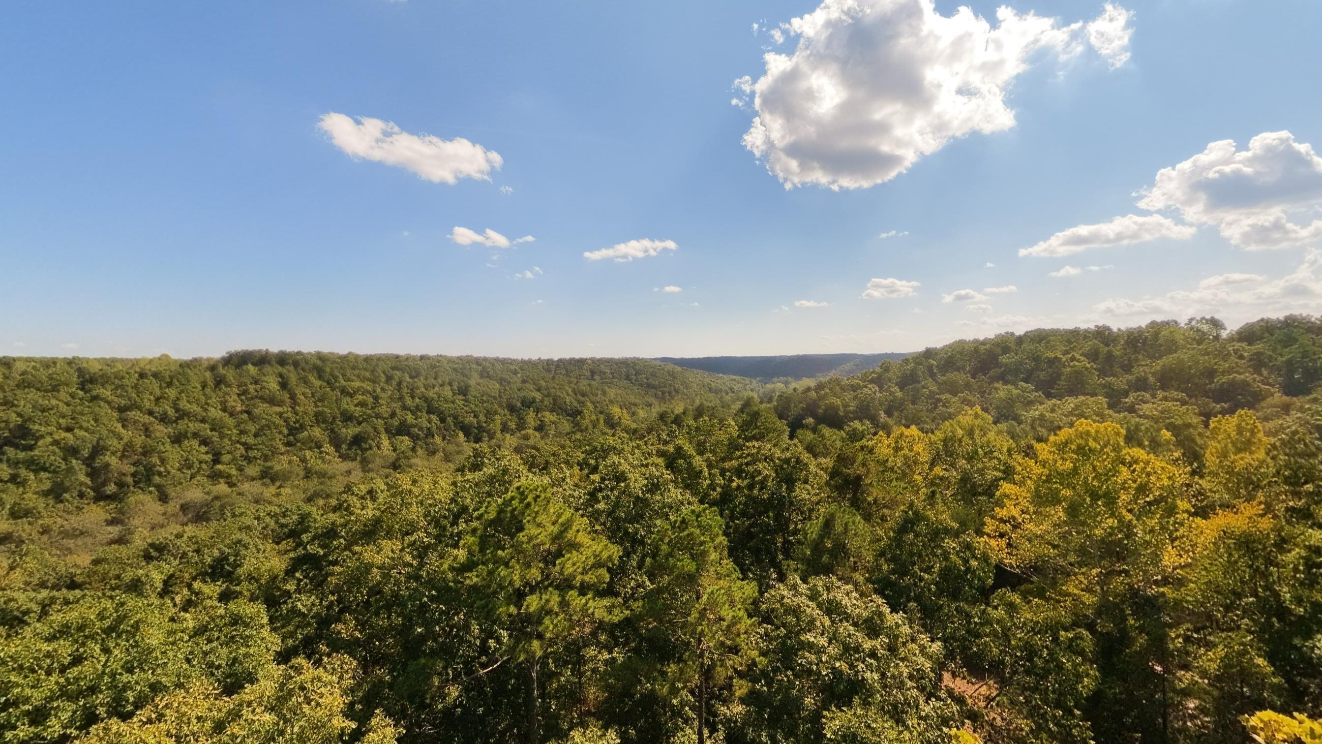 main property photo 59