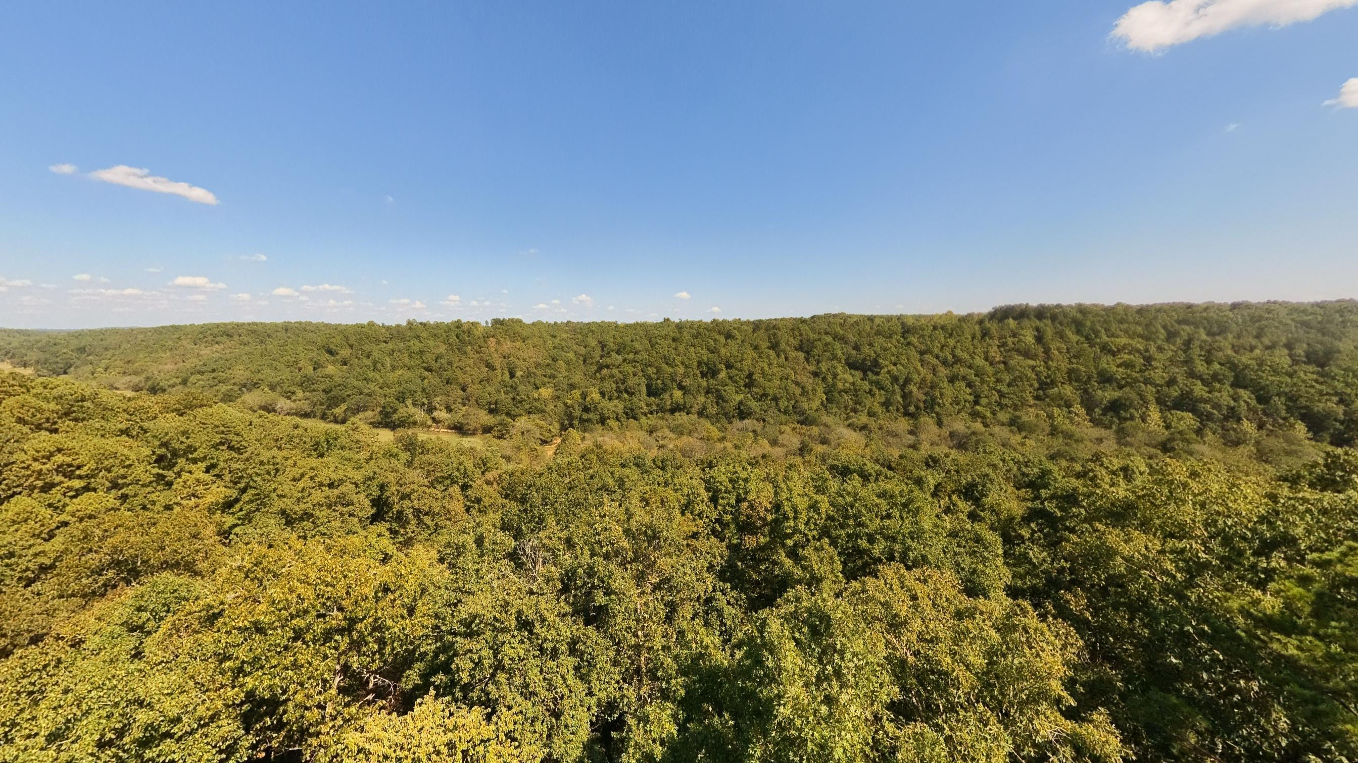 main property photo 60