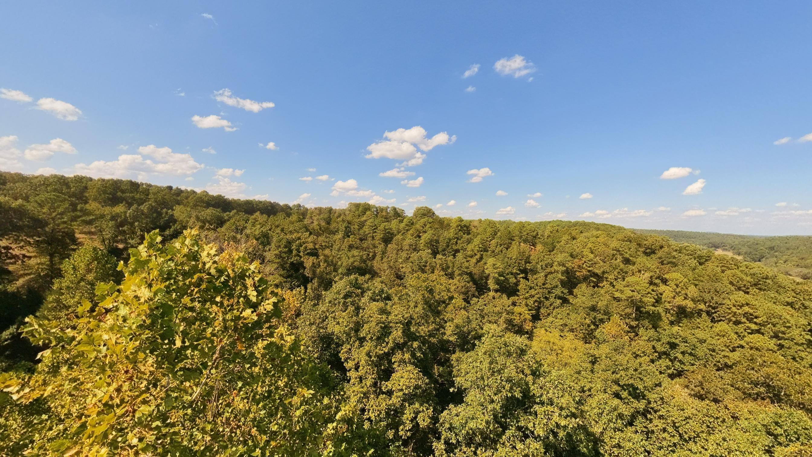 main property photo 61