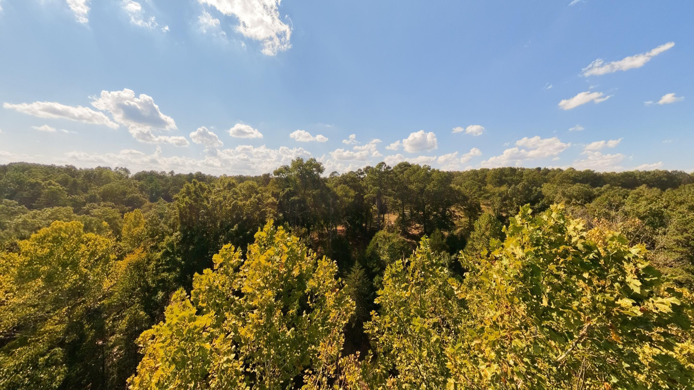 main property photo 62