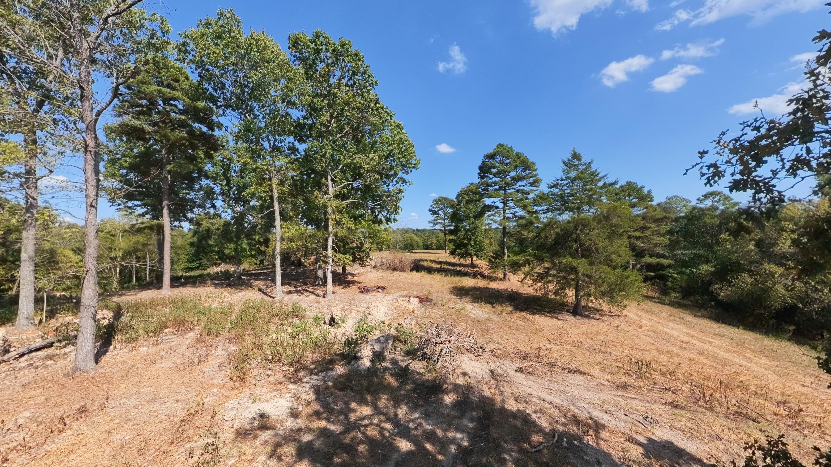 main property photo 68