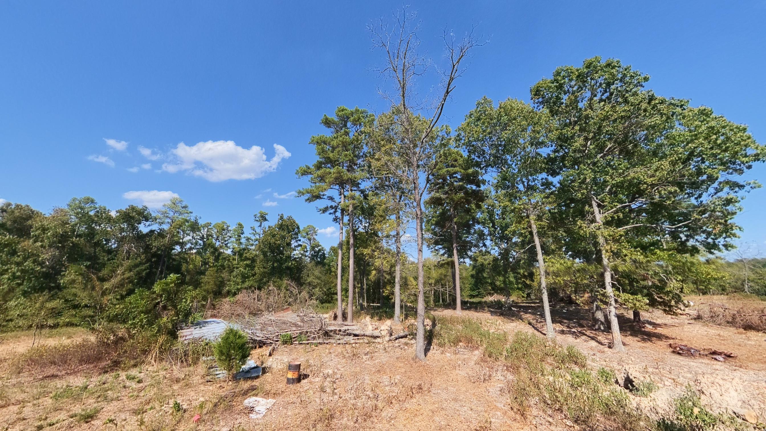 main property photo 70