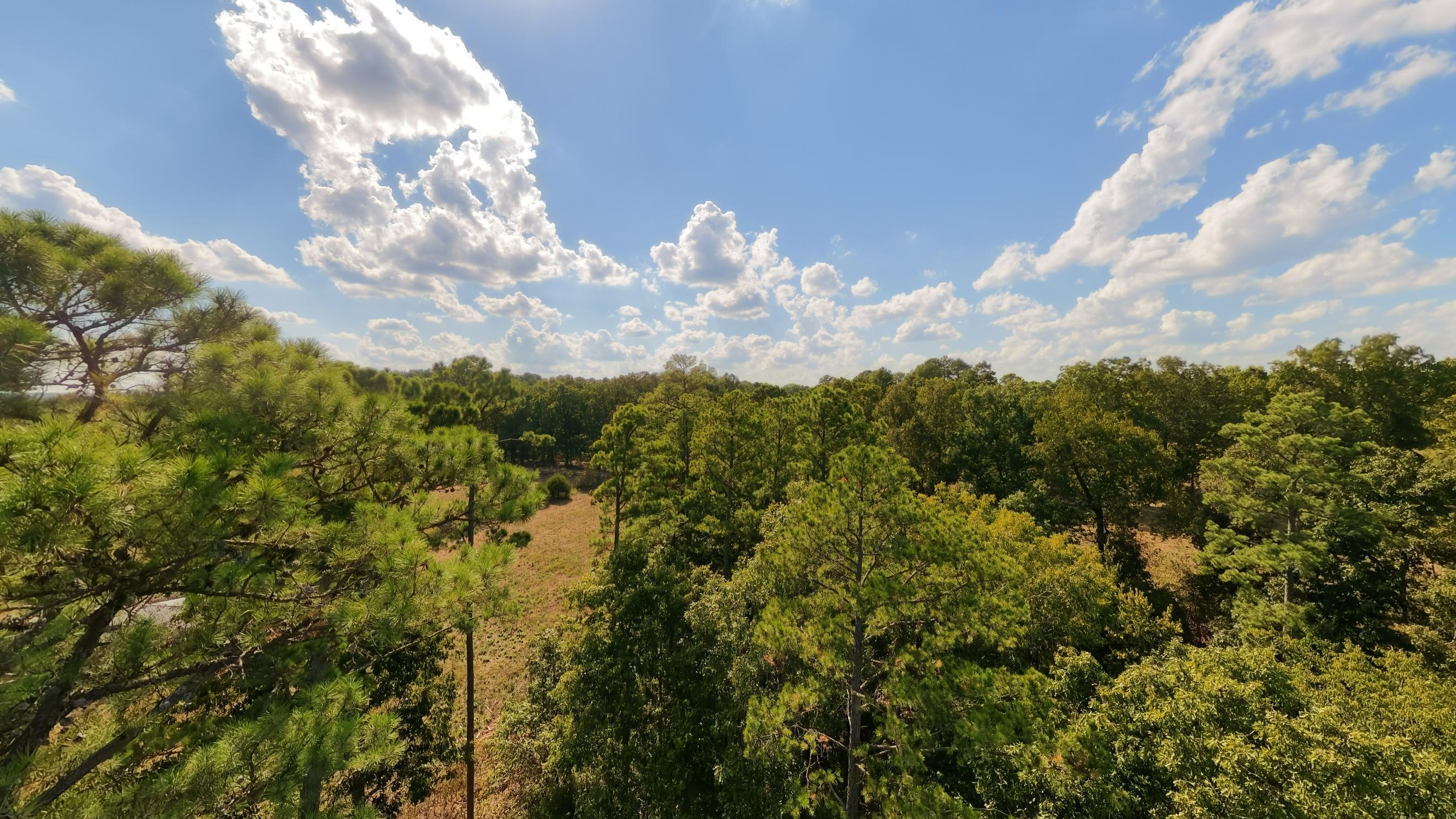 main property photo 74