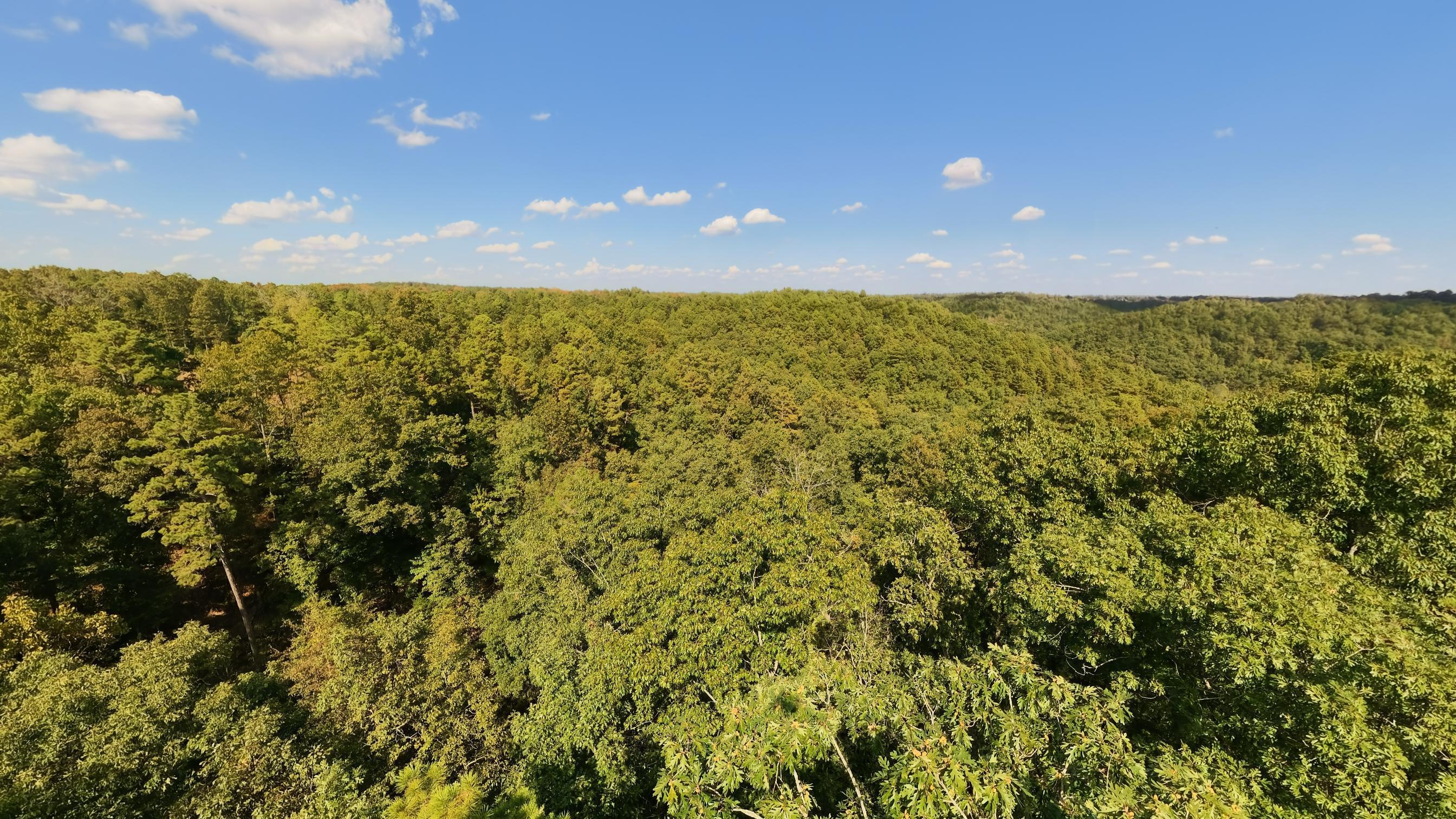 main property photo 75