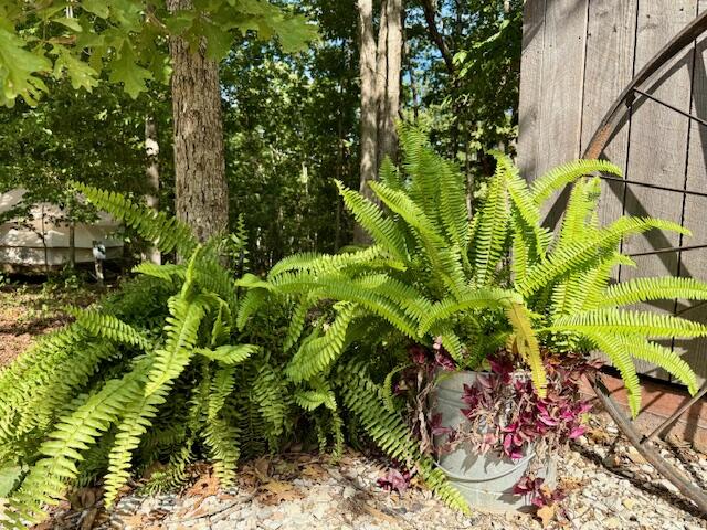 main property photo 51