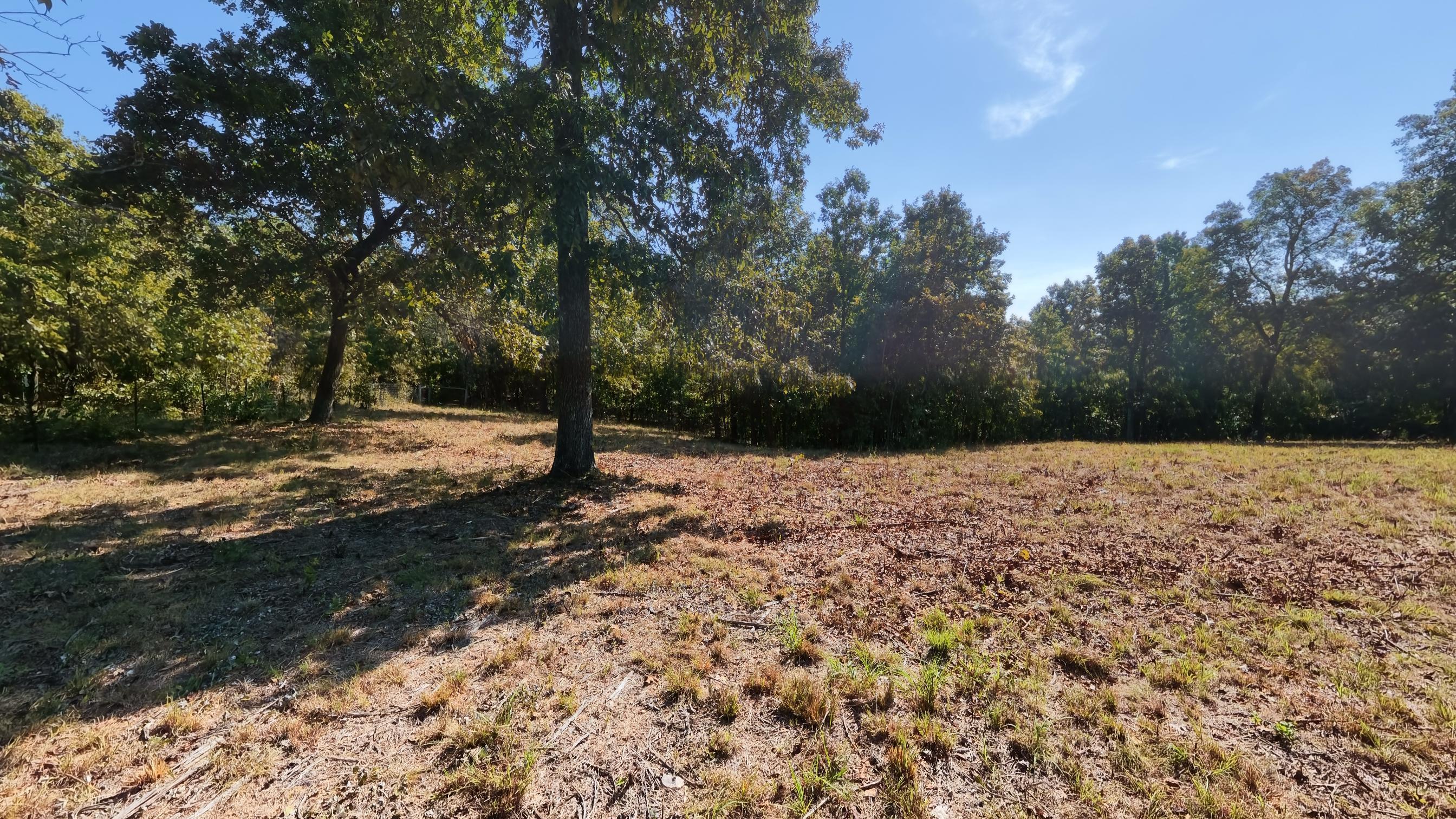 main property photo 48
