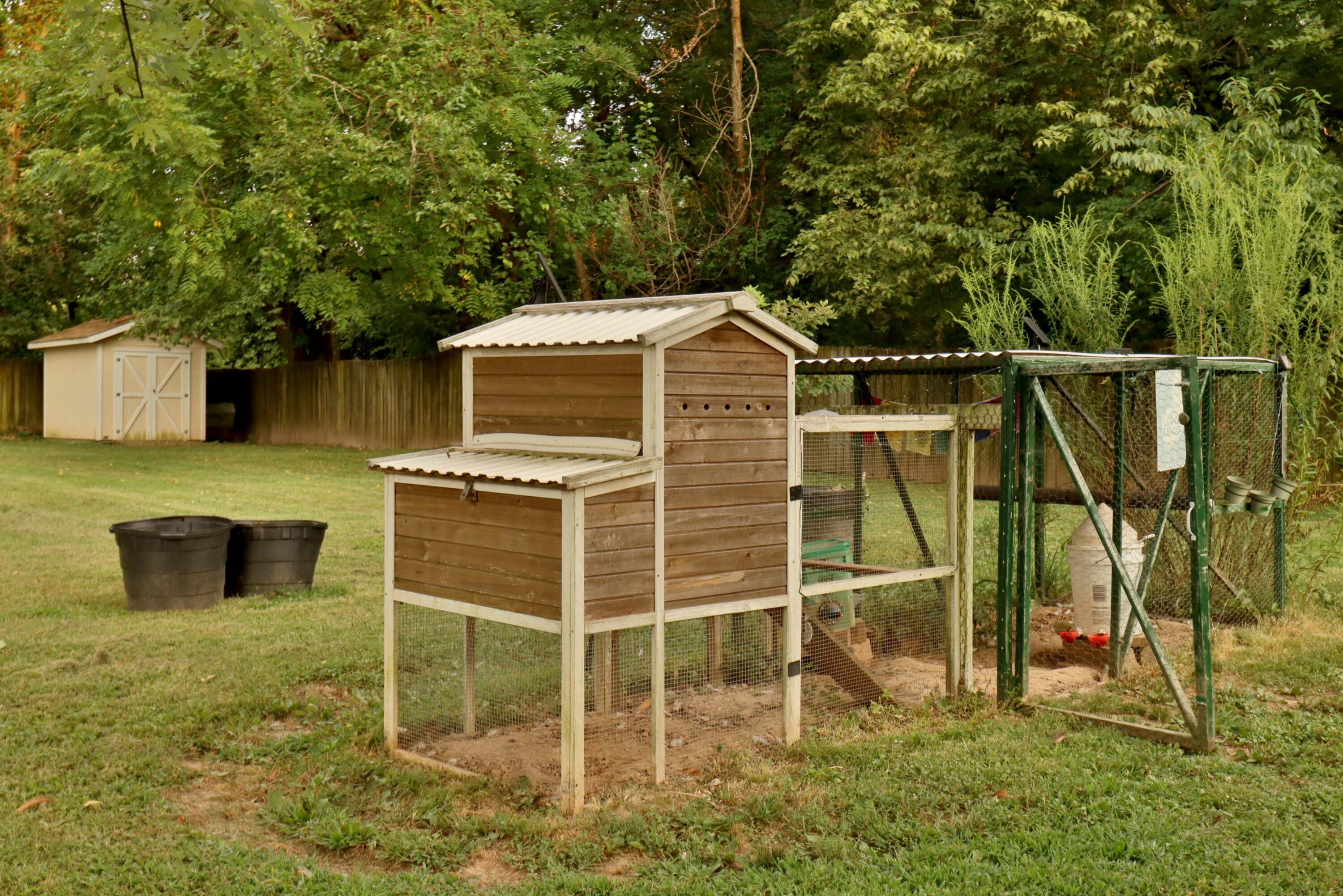 main property photo 38