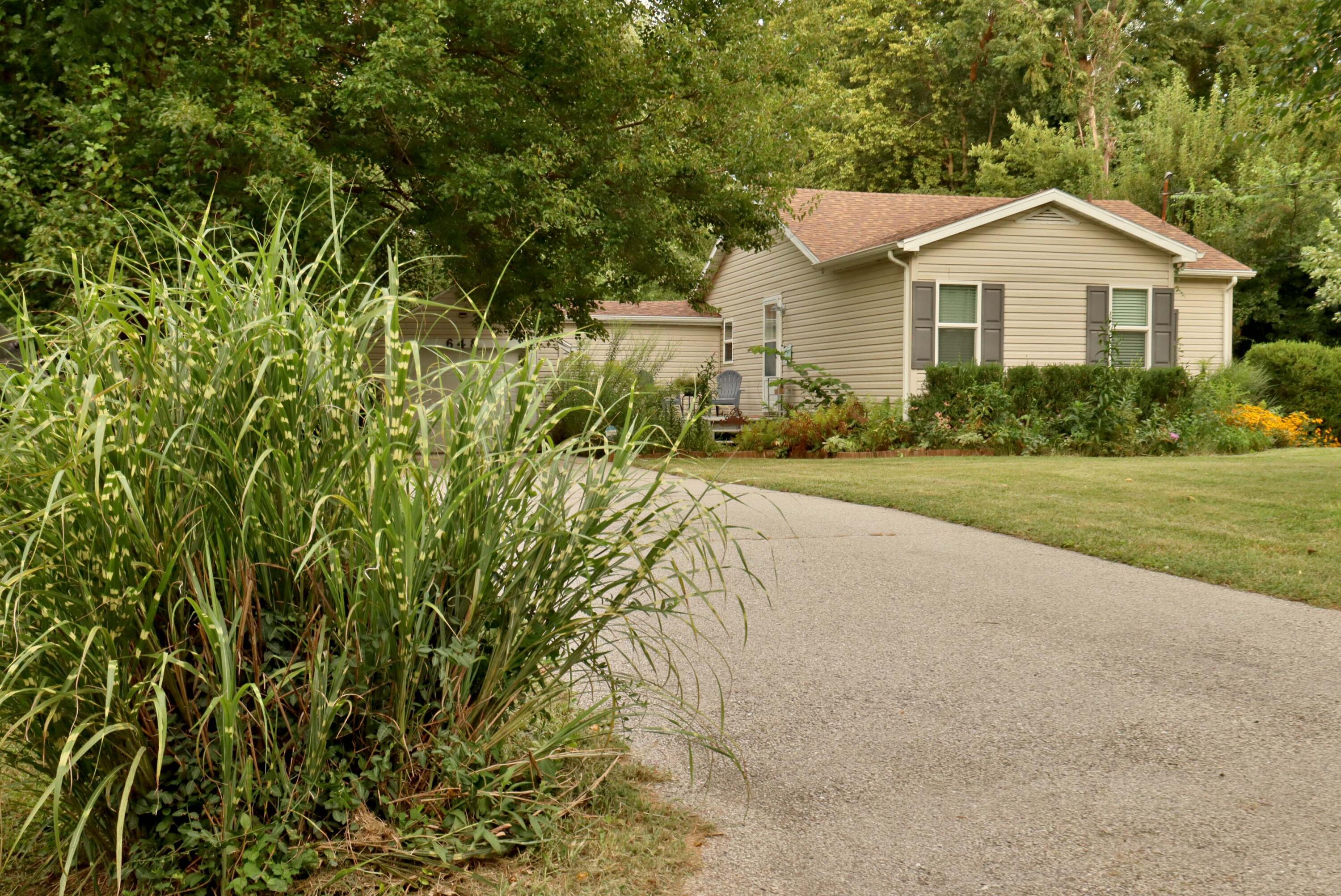 main property photo 52
