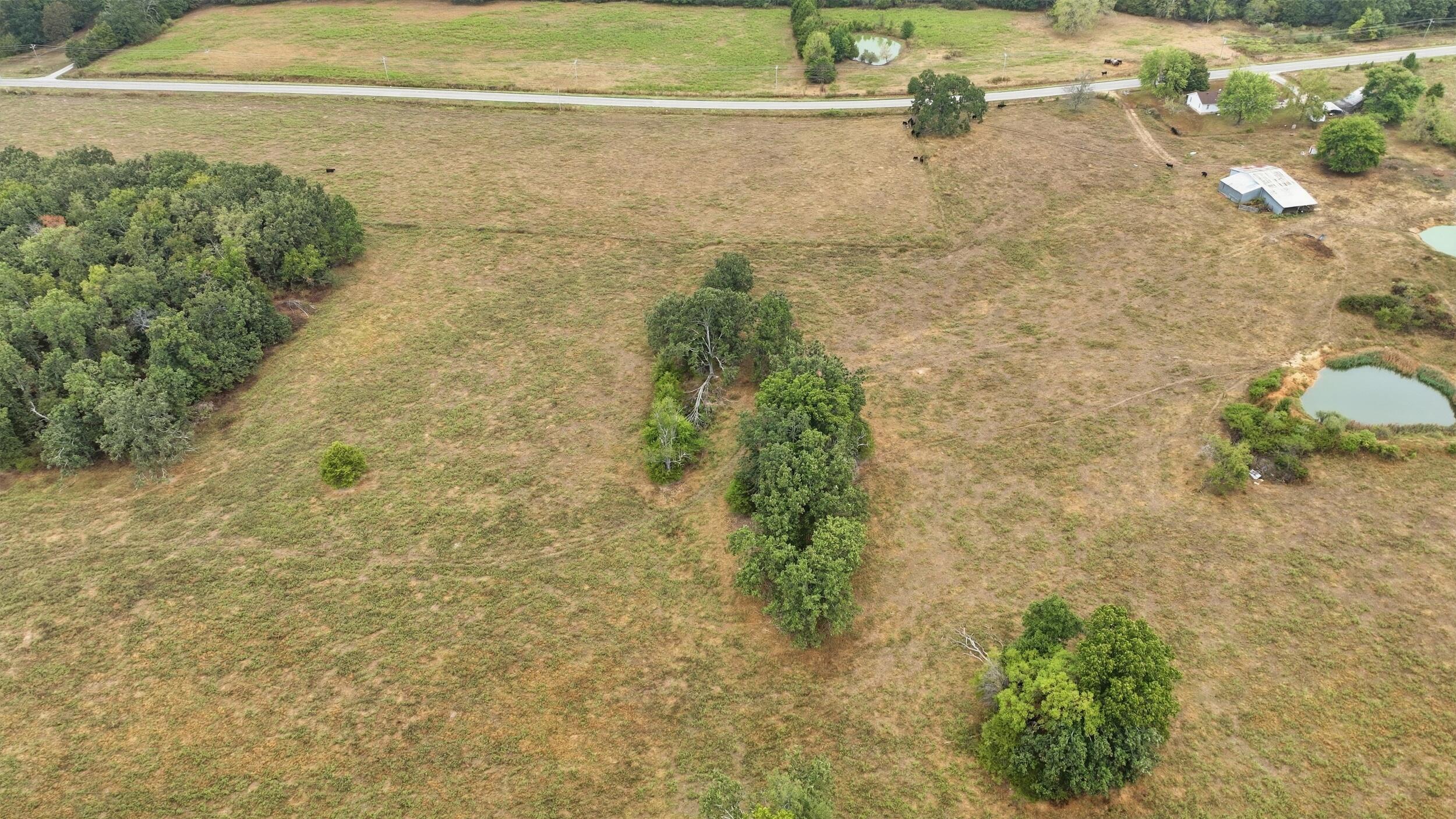 main property photo 10