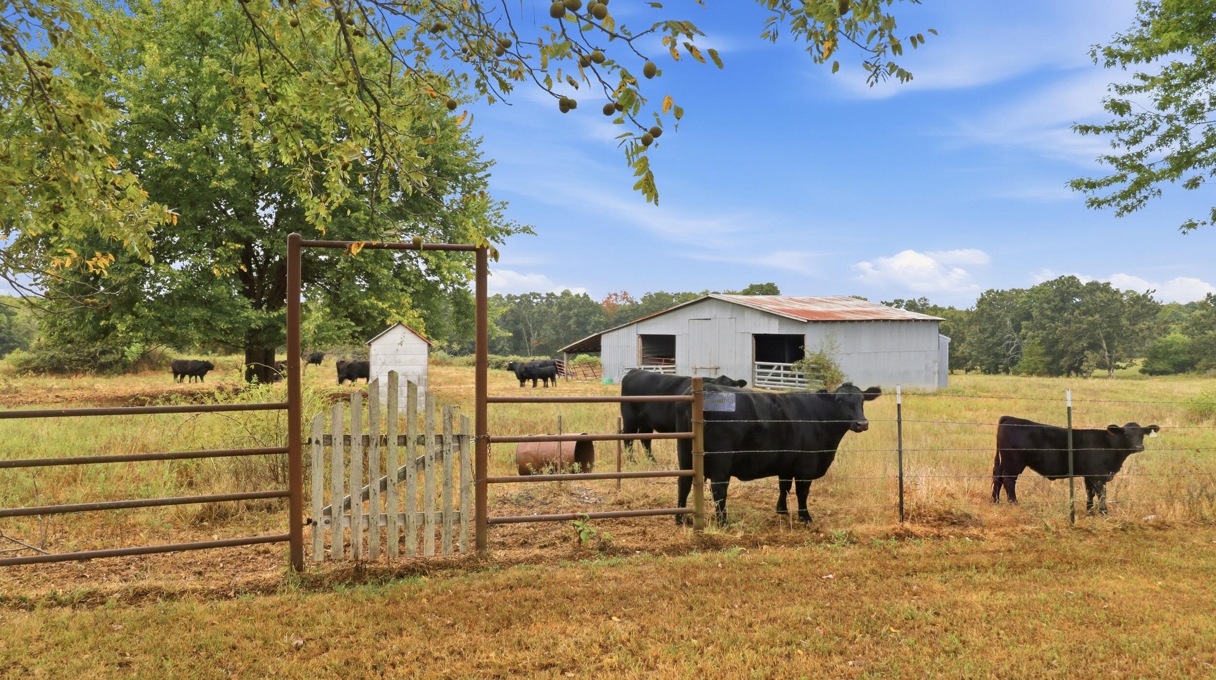 main property photo 45