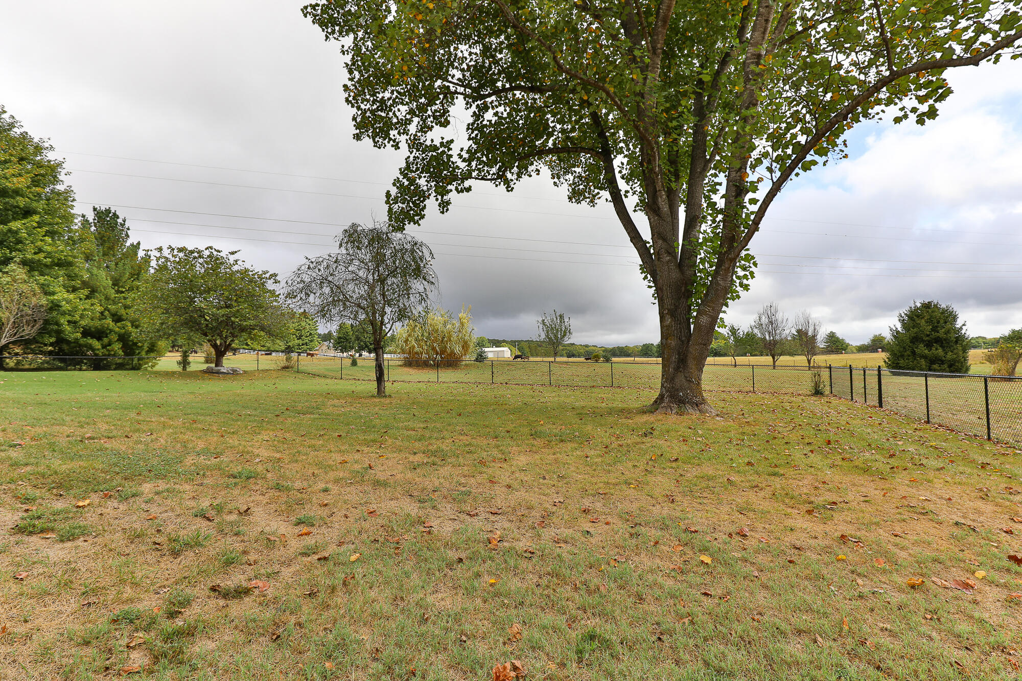 main property photo 54