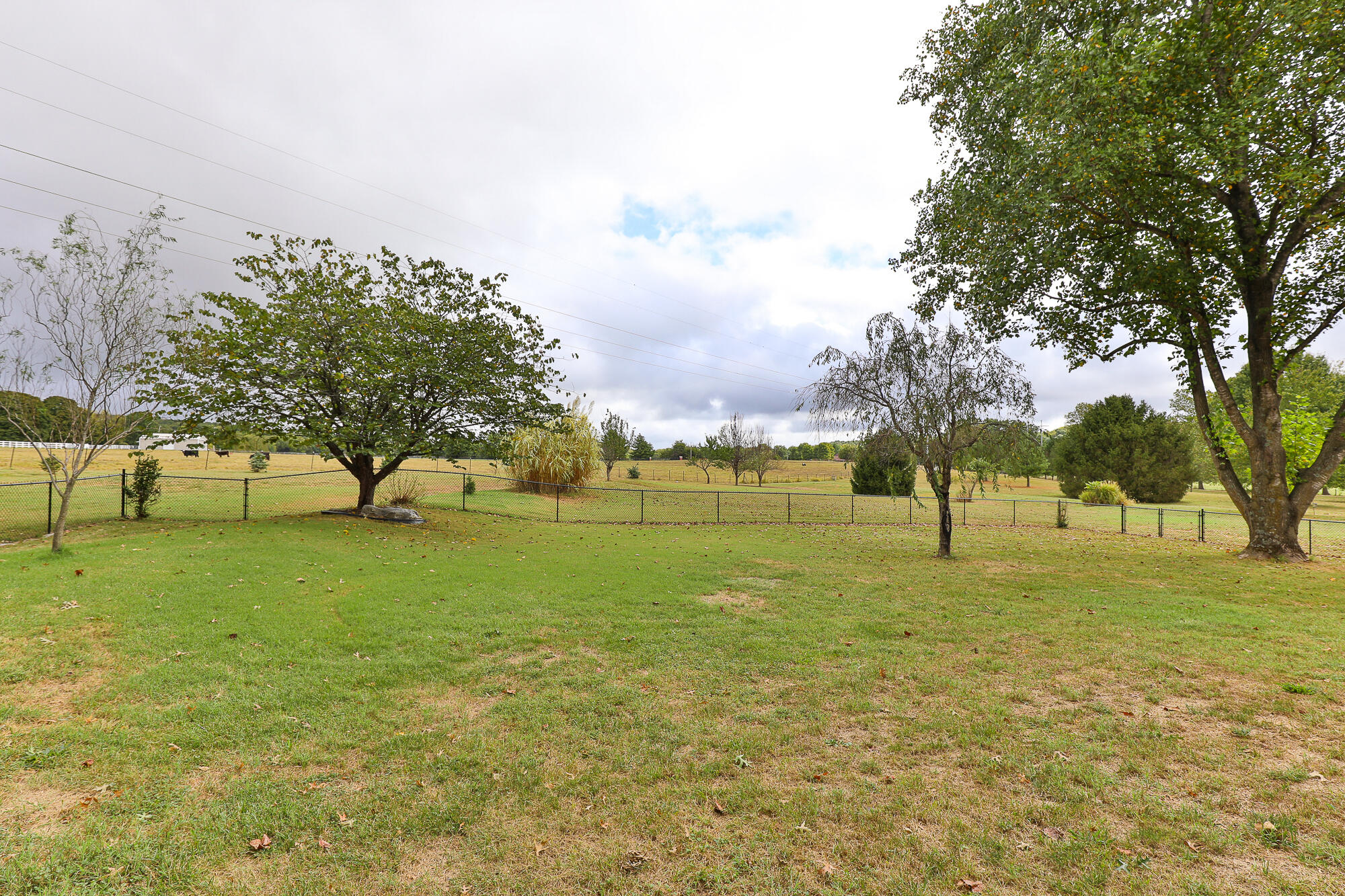 main property photo 58