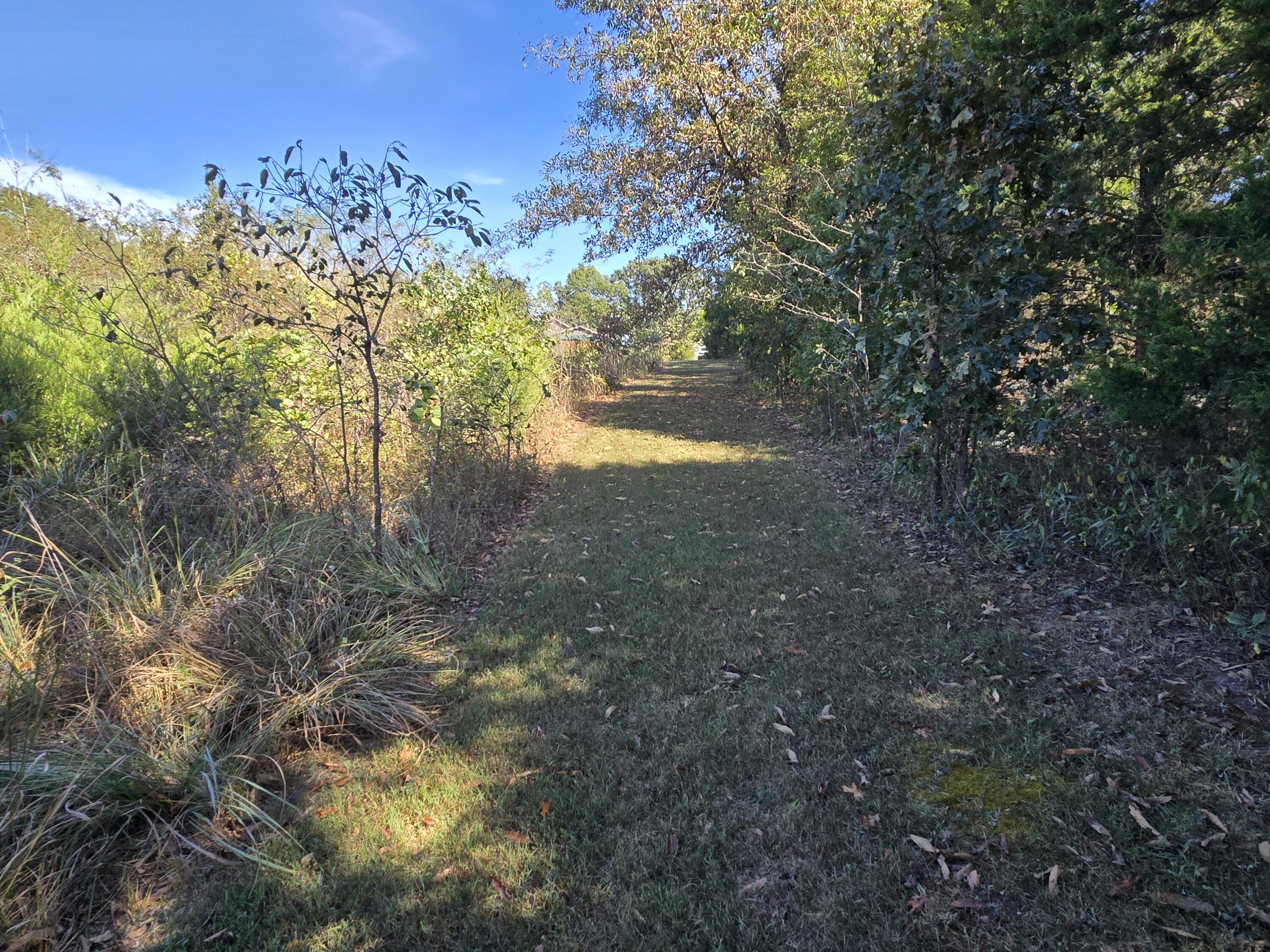 main property photo 42
