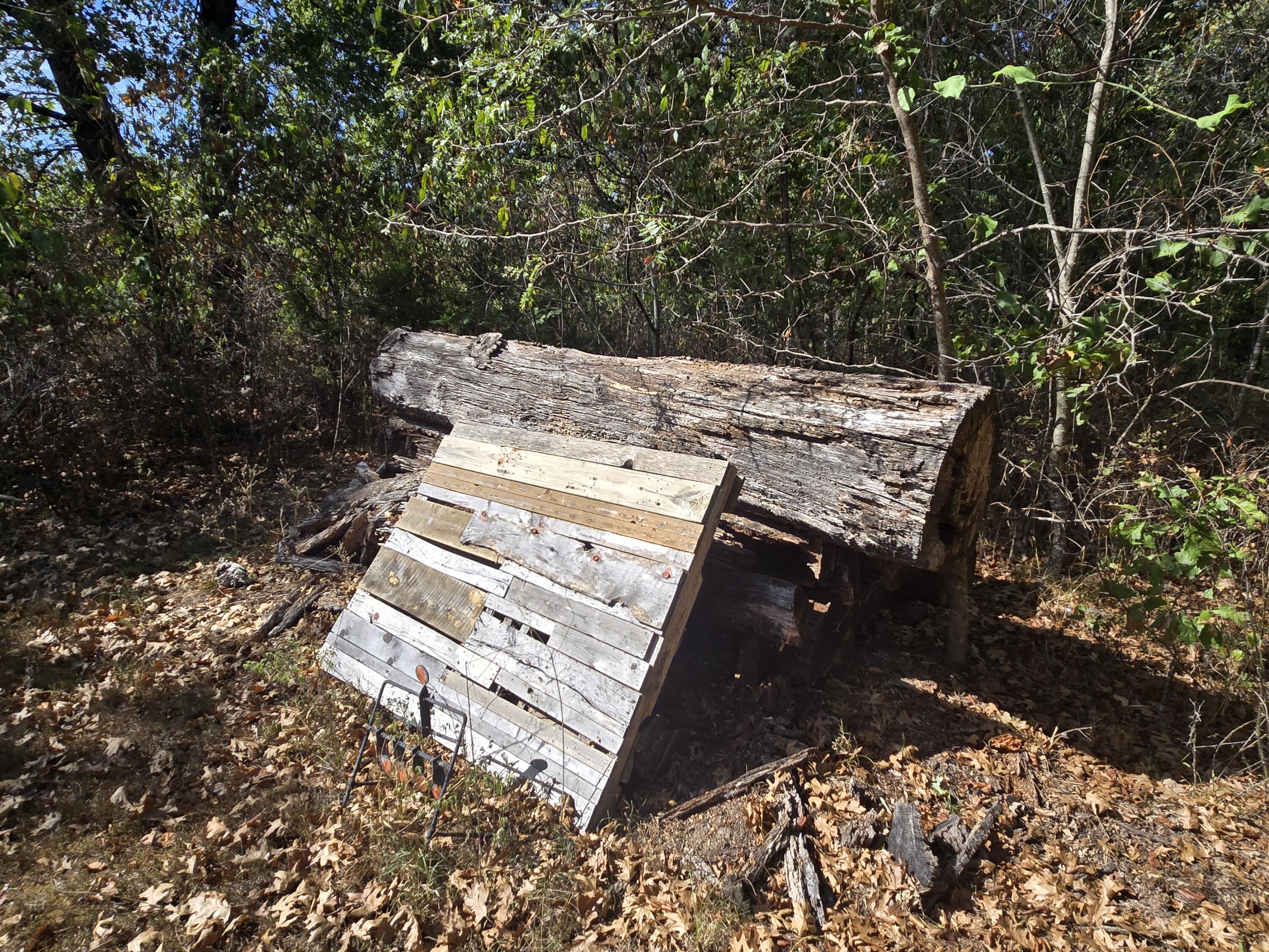 main property photo 49