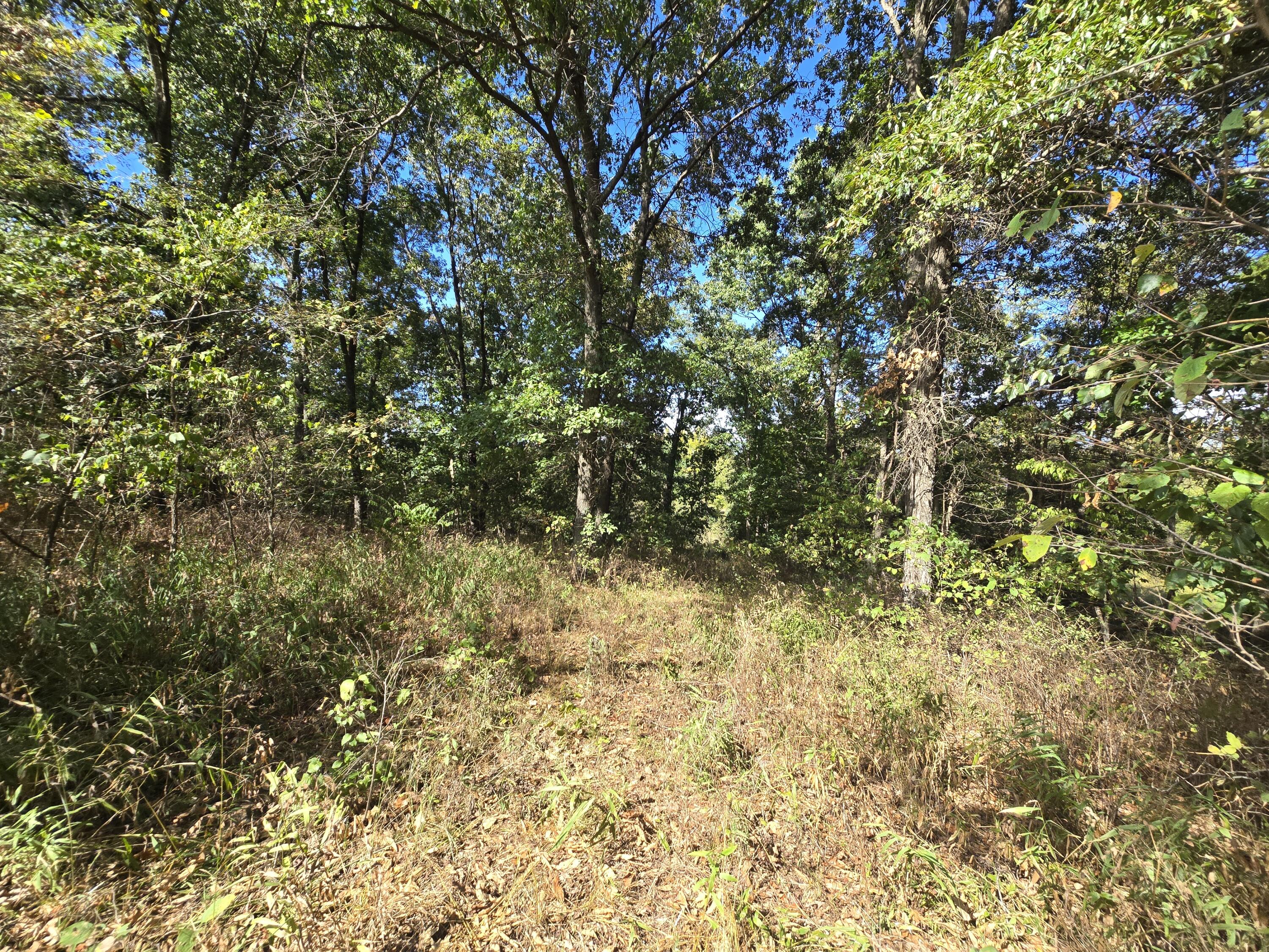 main property photo 54