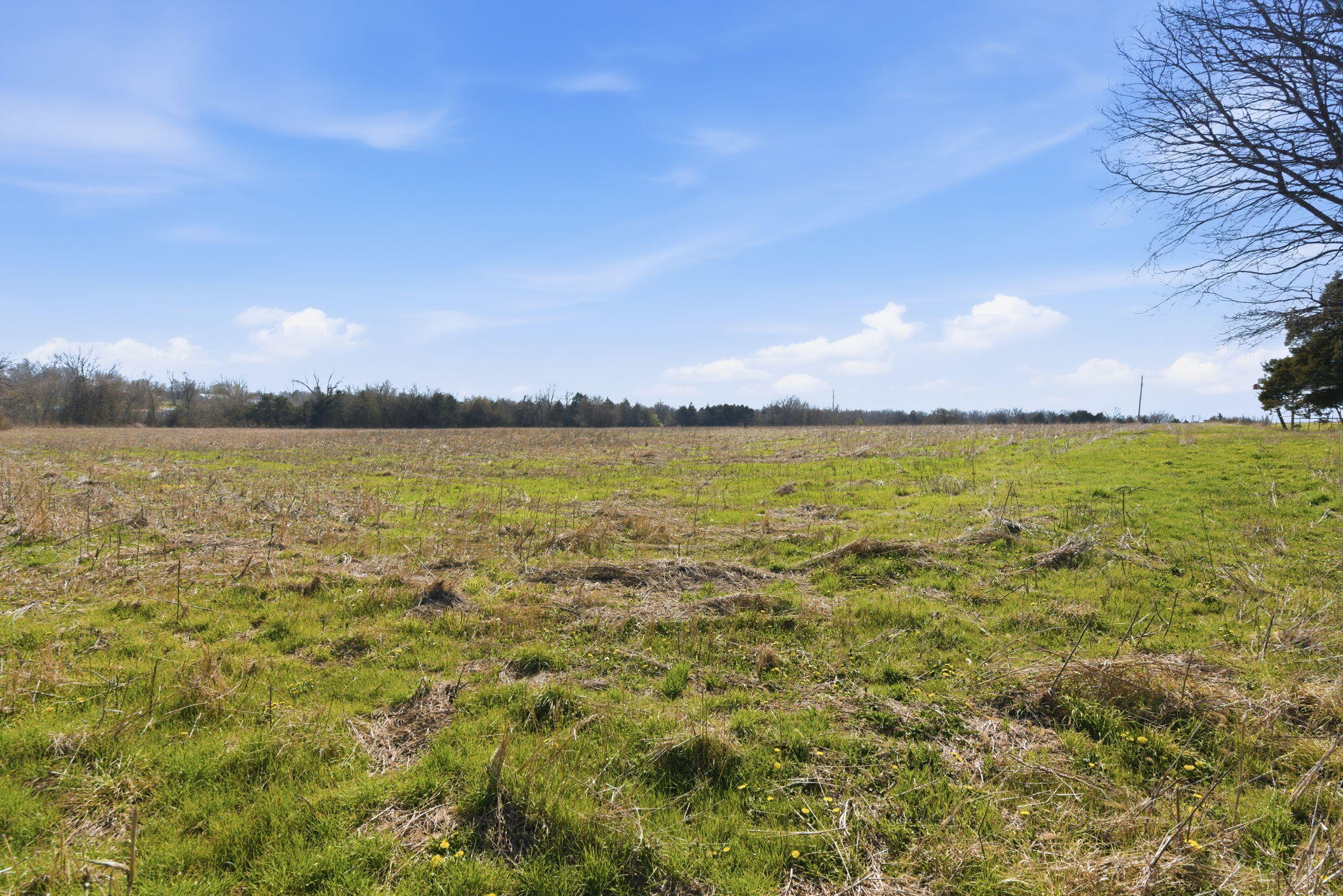 main property photo 38