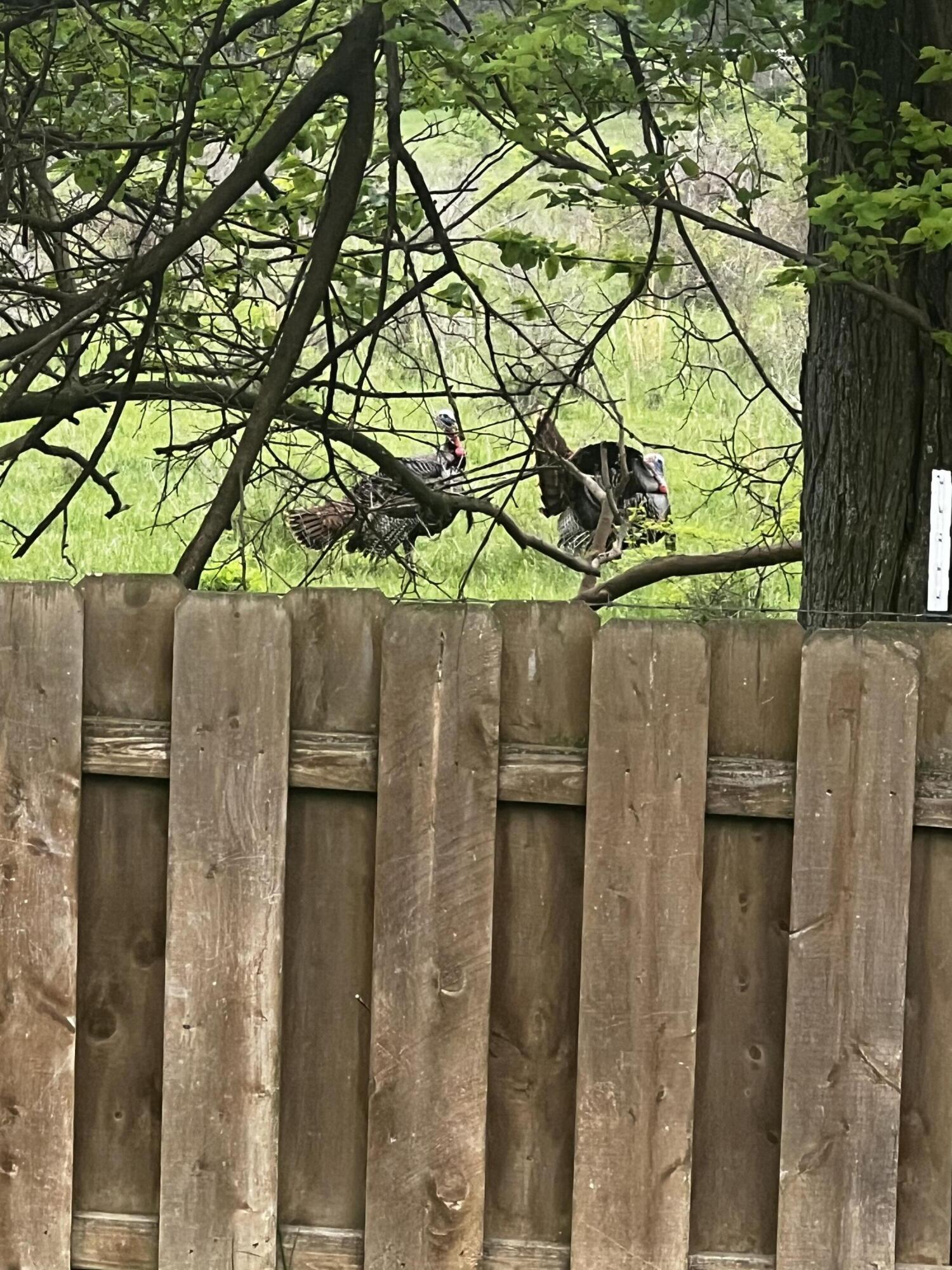 main property photo 36