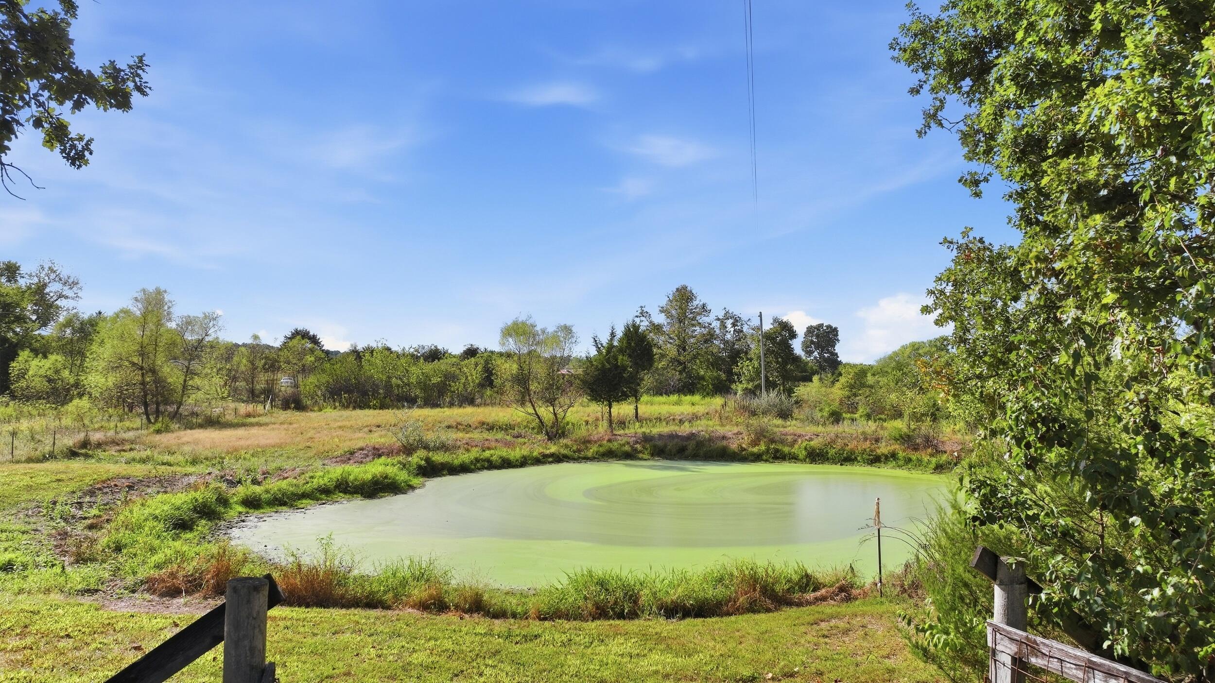 main property photo 25