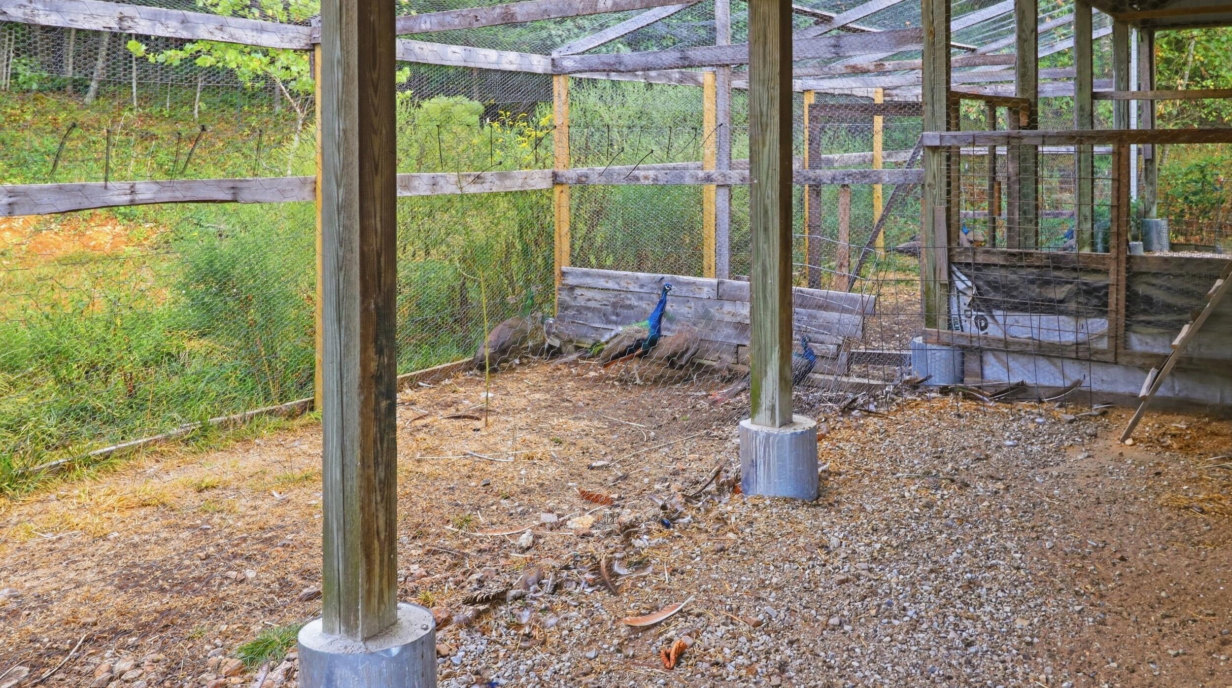 main property photo 86