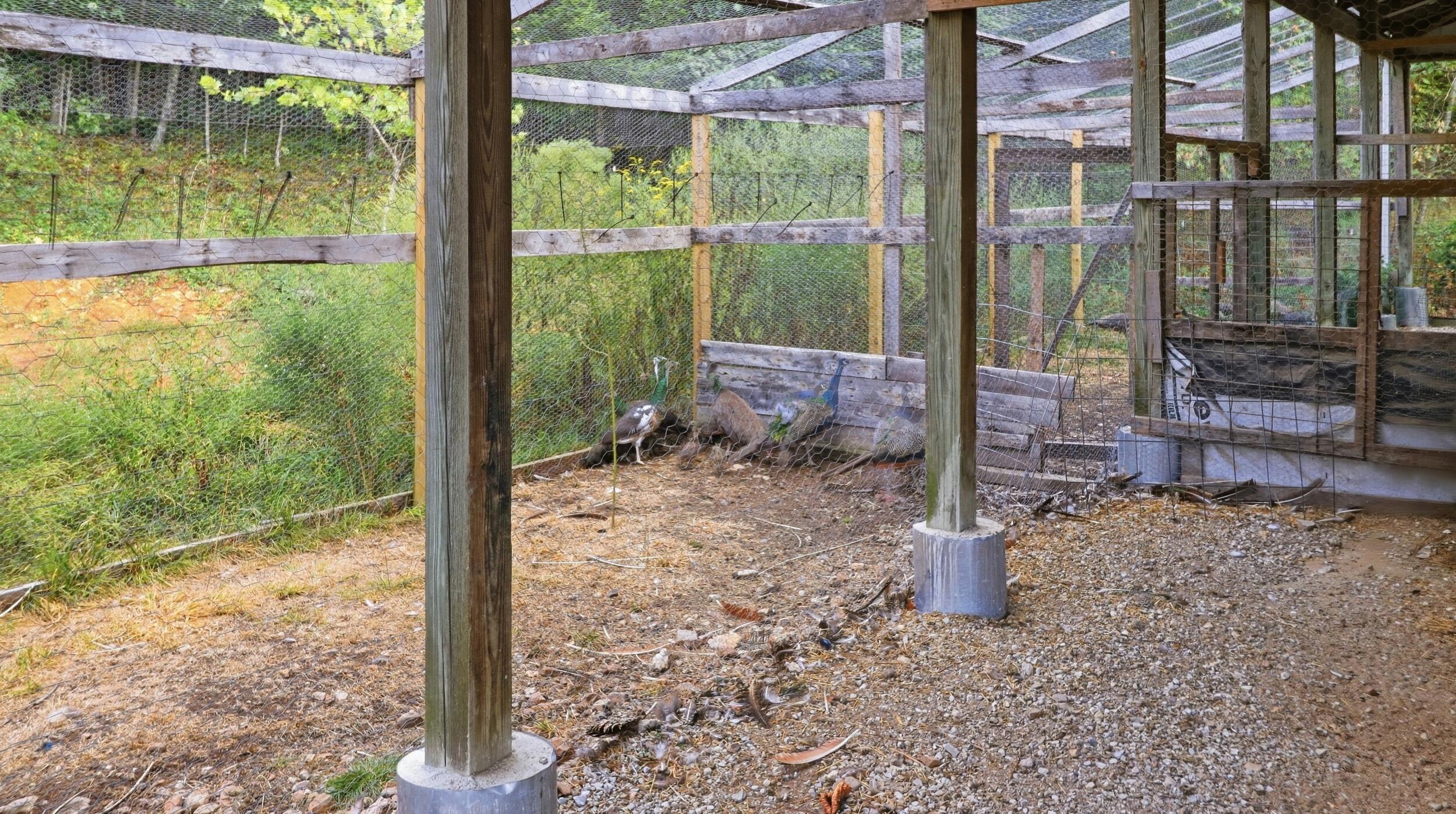 main property photo 87