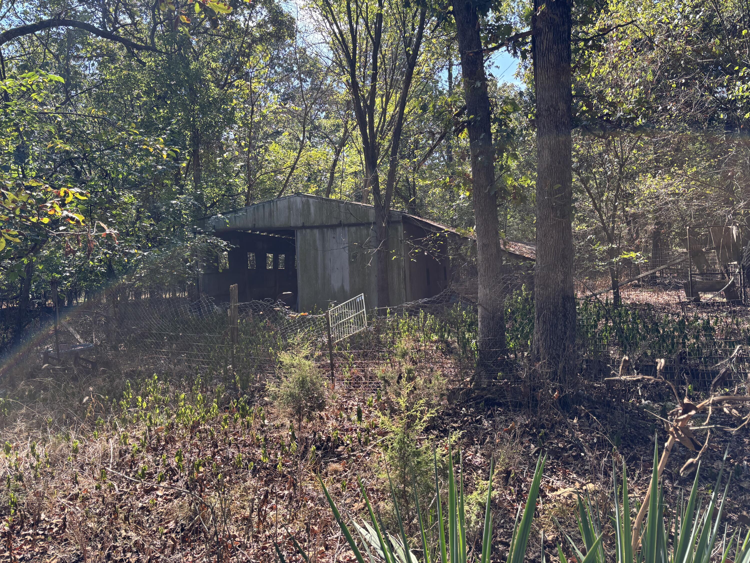 main property photo 13