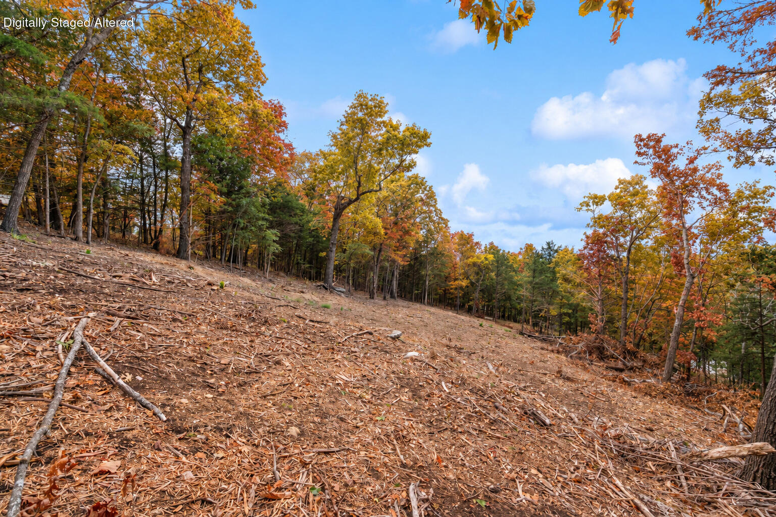 main property photo 24