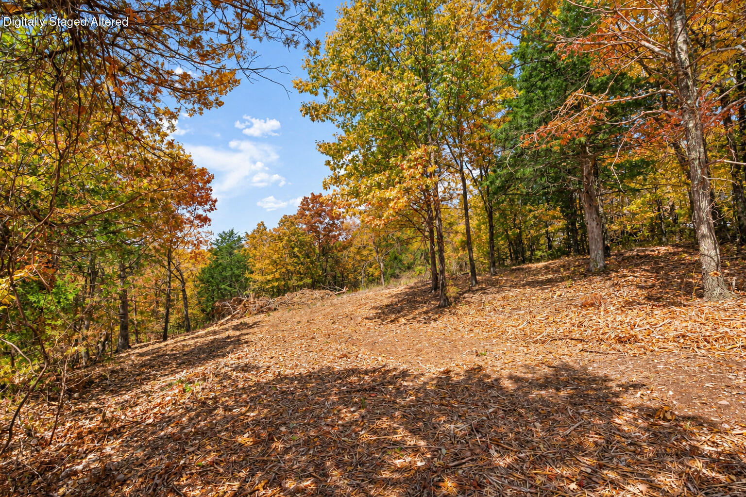 main property photo 37
