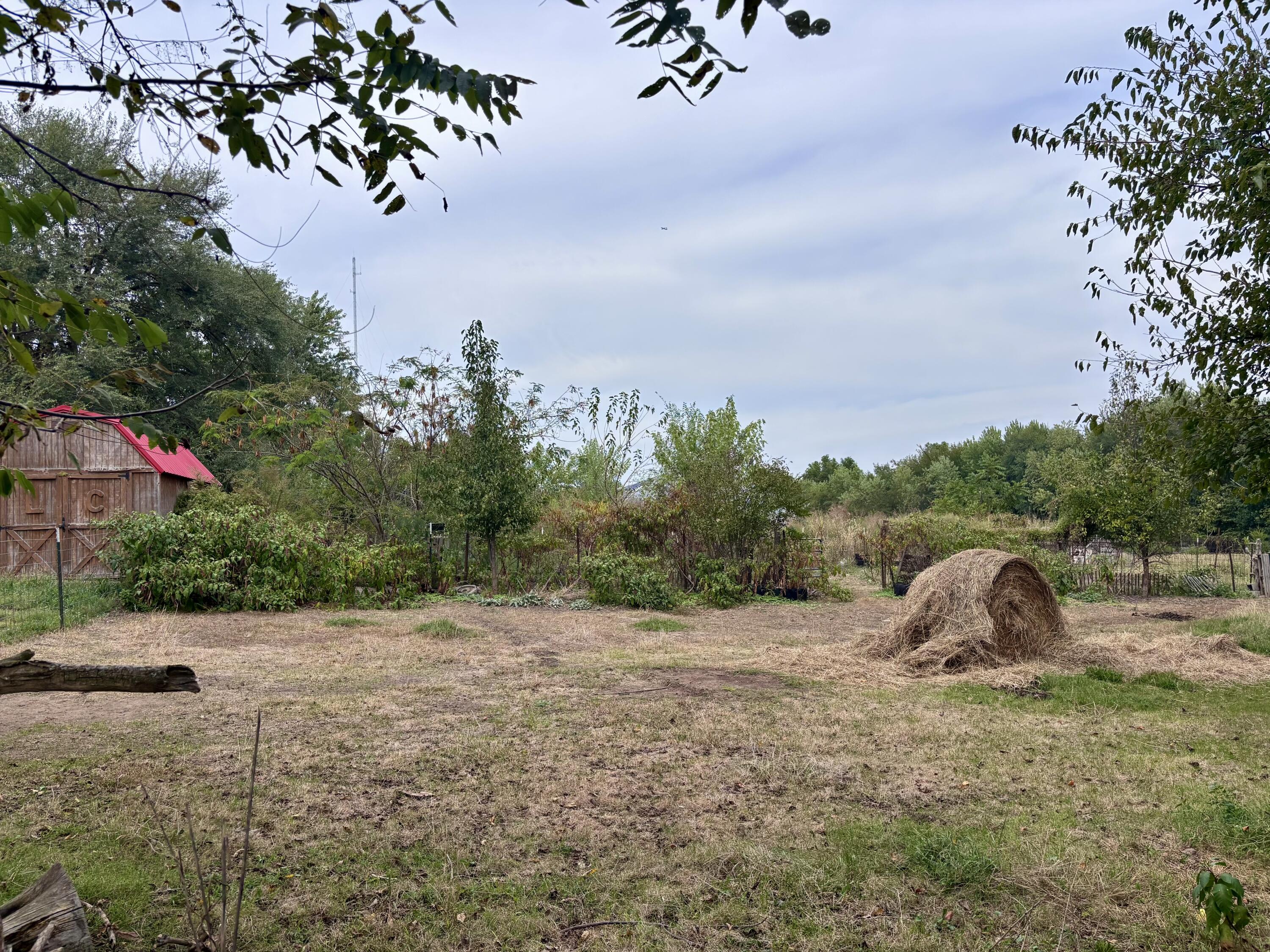 main property photo 6