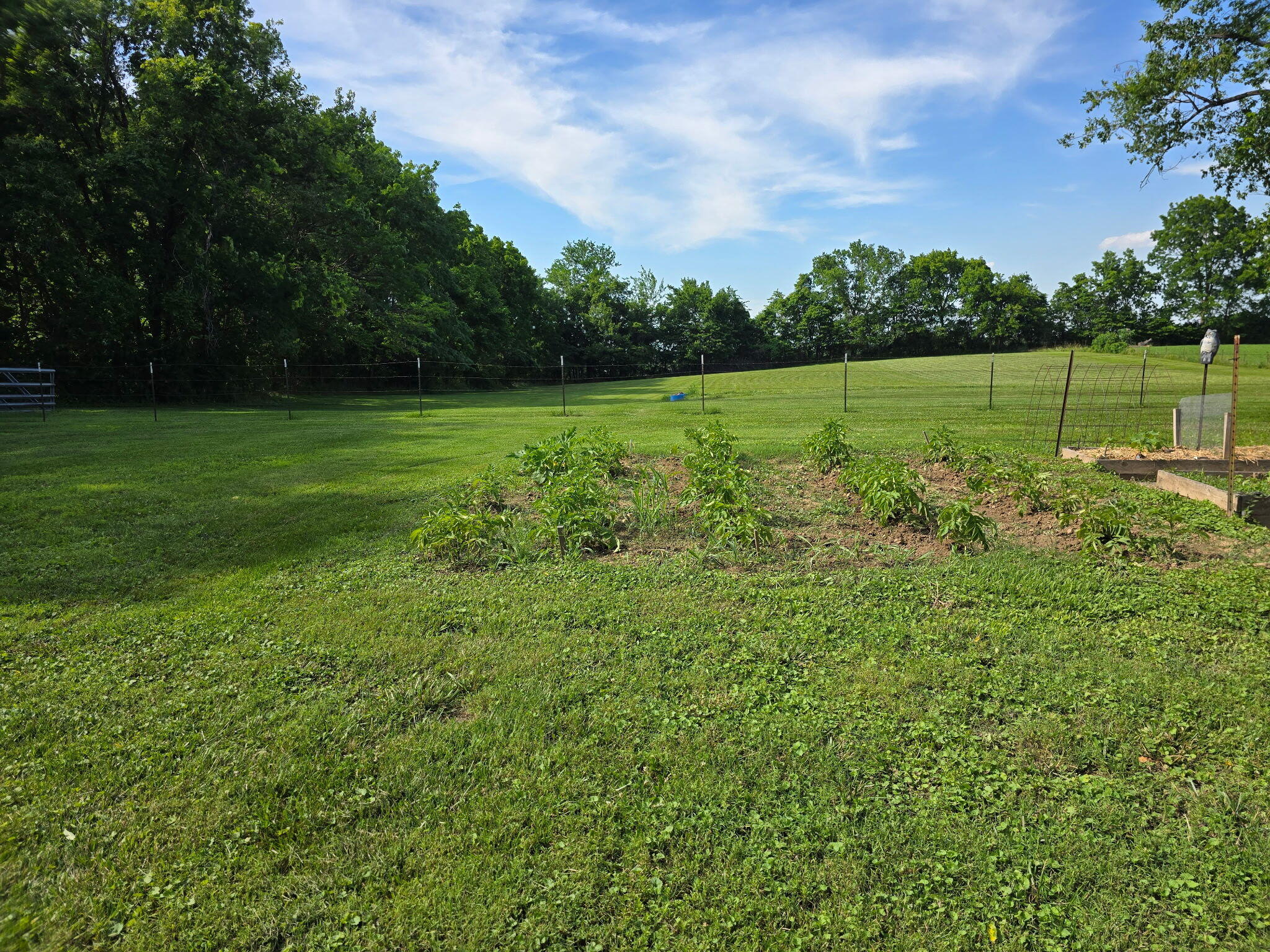 main property photo 22