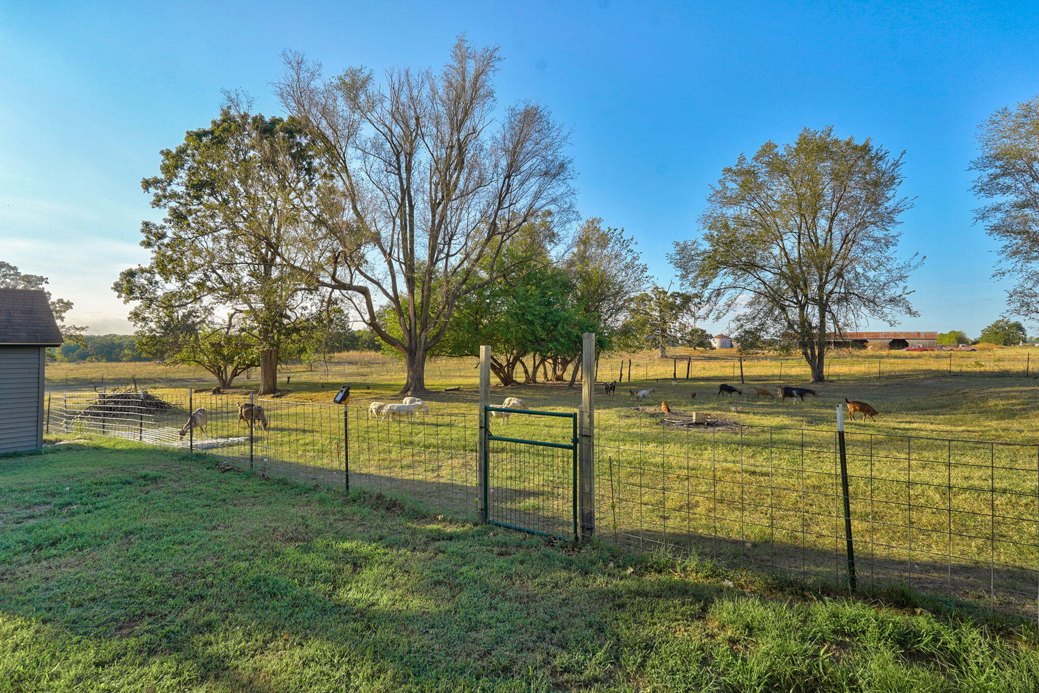 main property photo 25