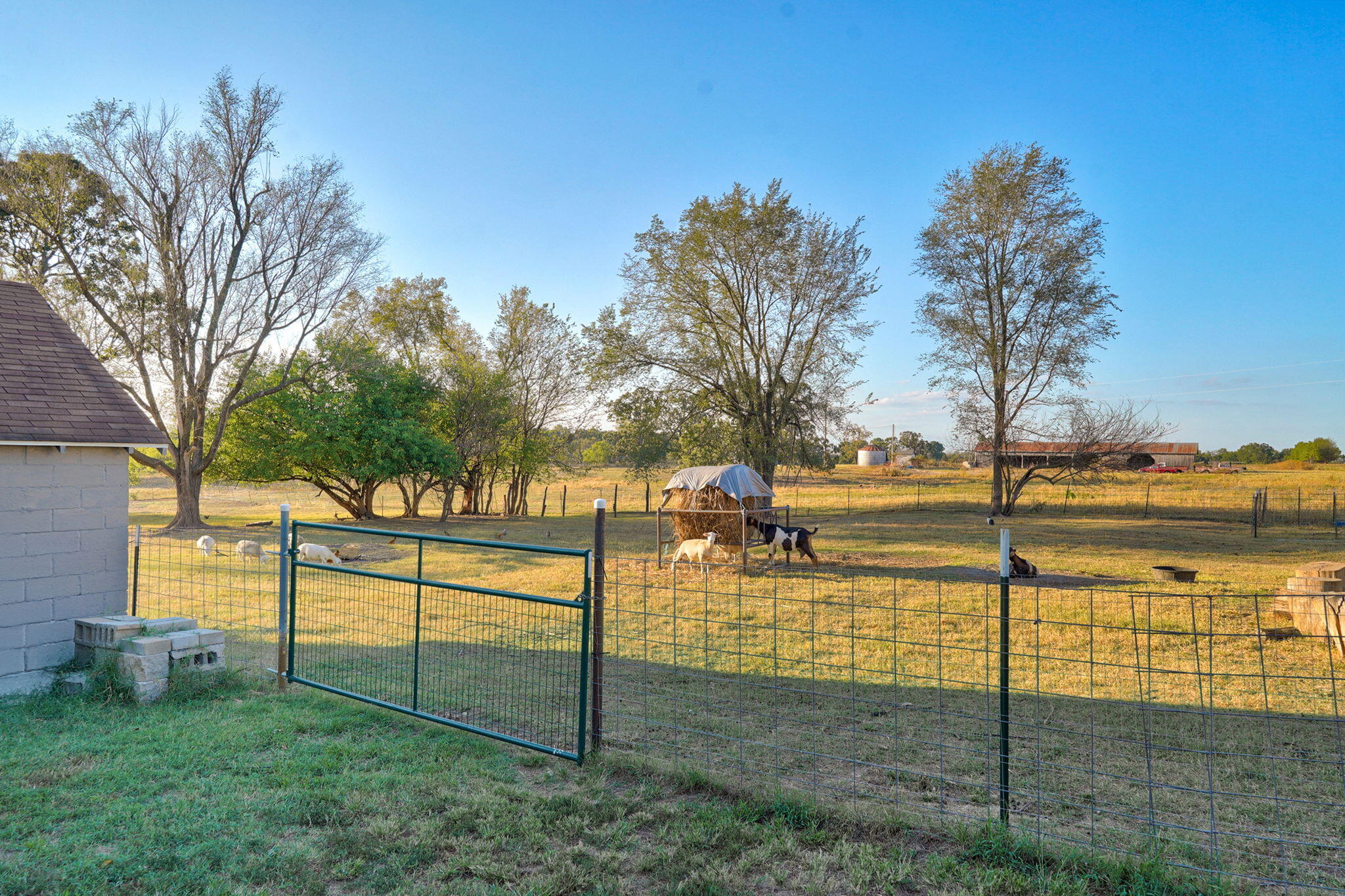 main property photo 26