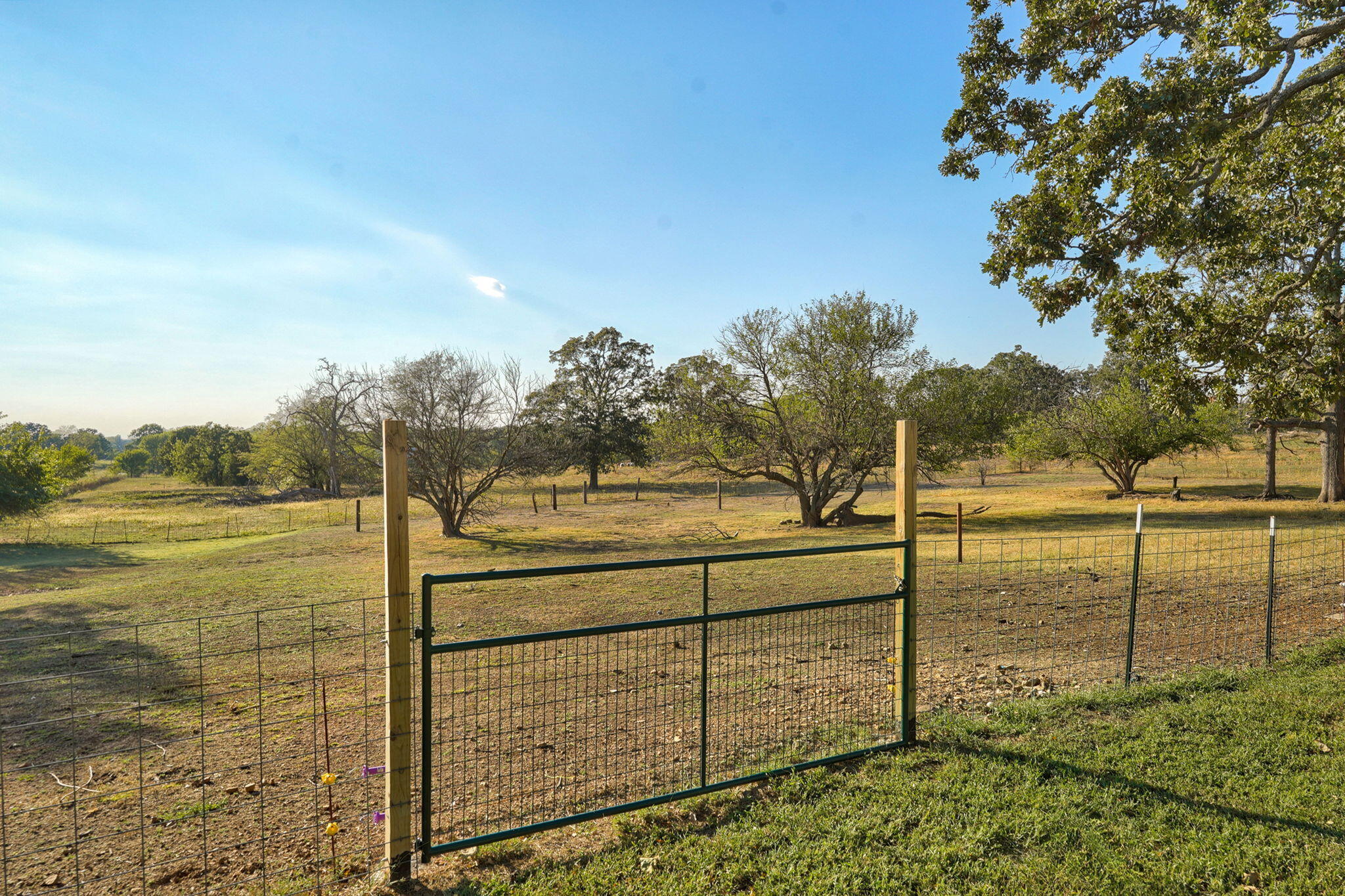 main property photo 32
