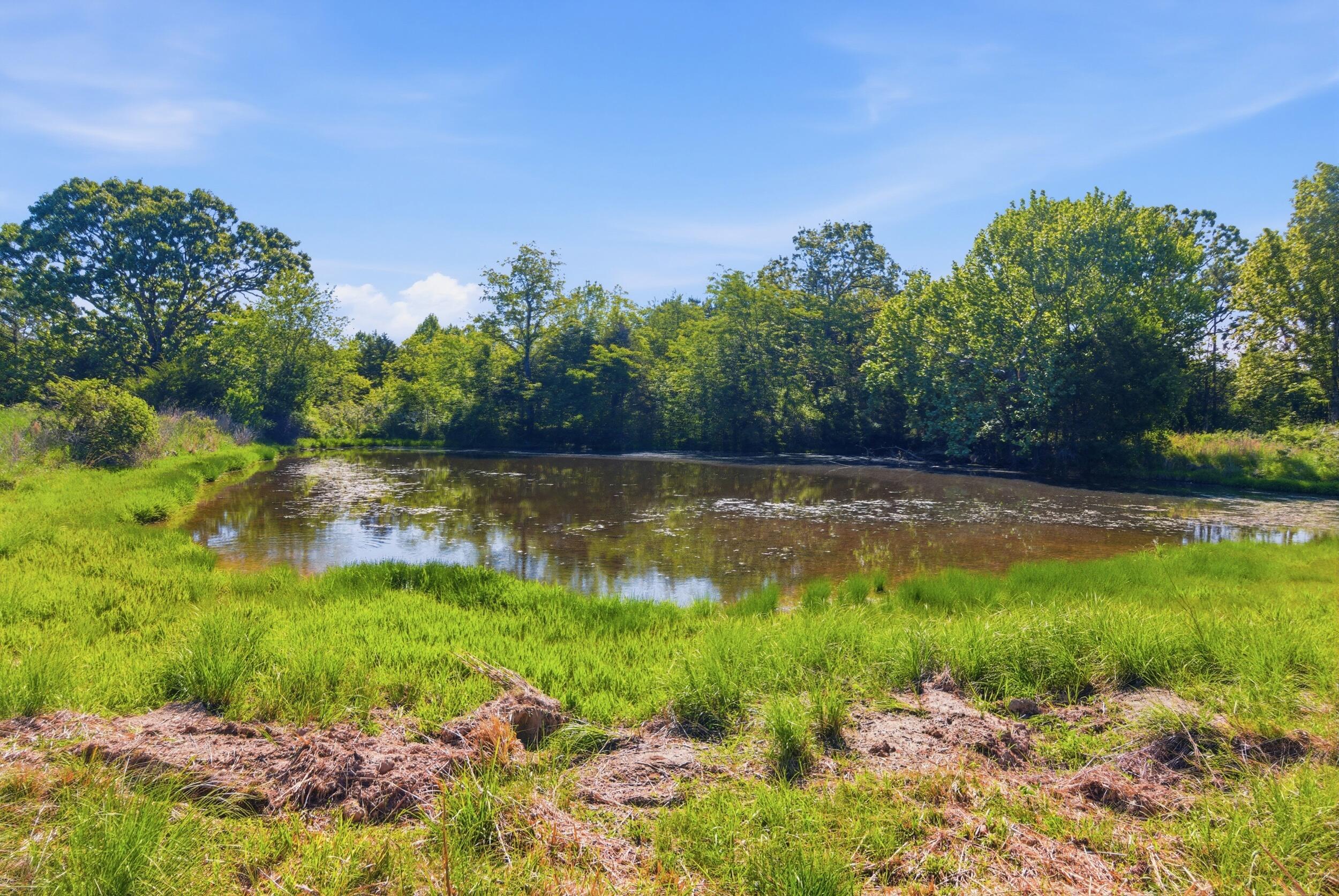 main property photo 60