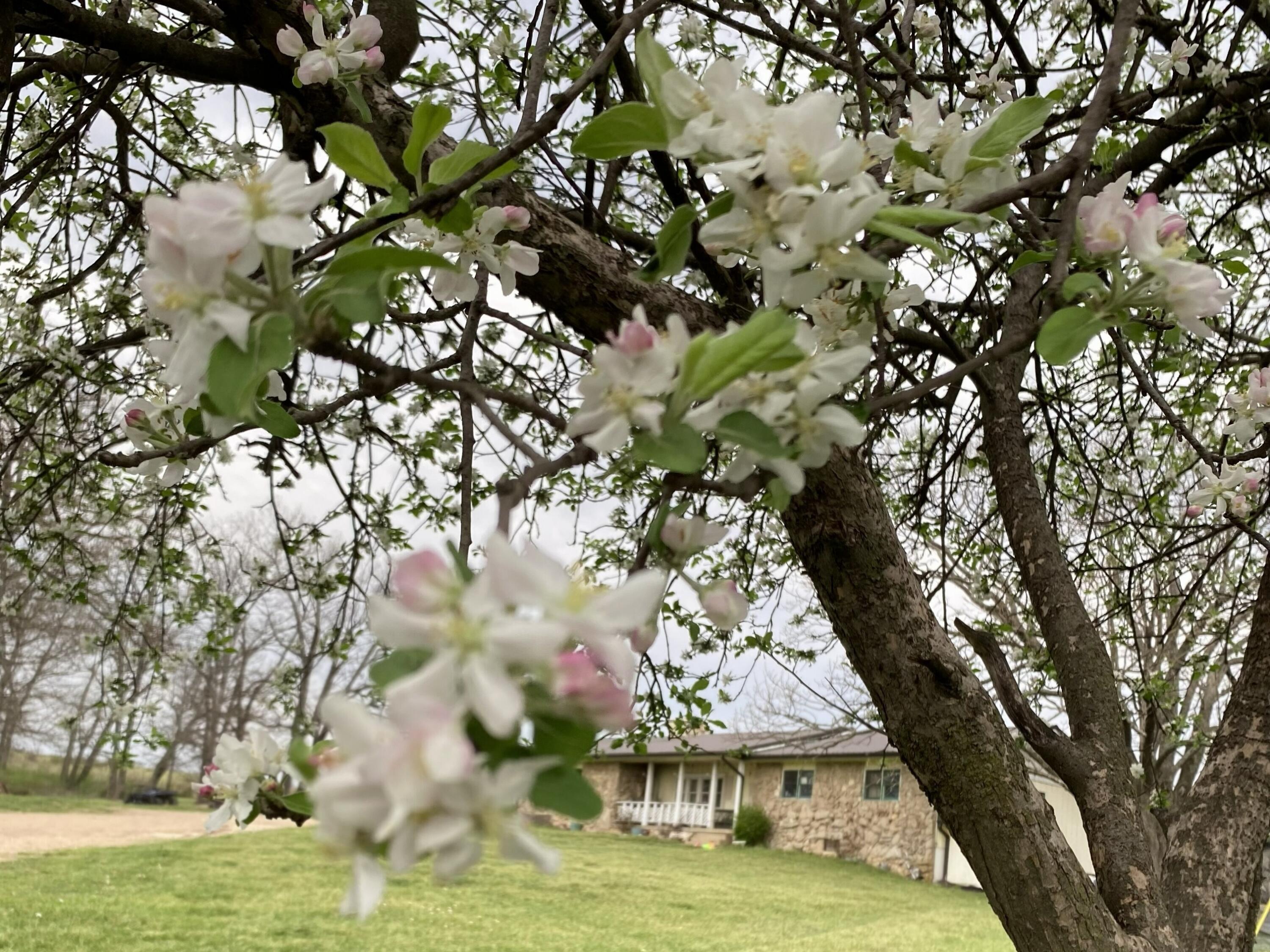 main property photo 61