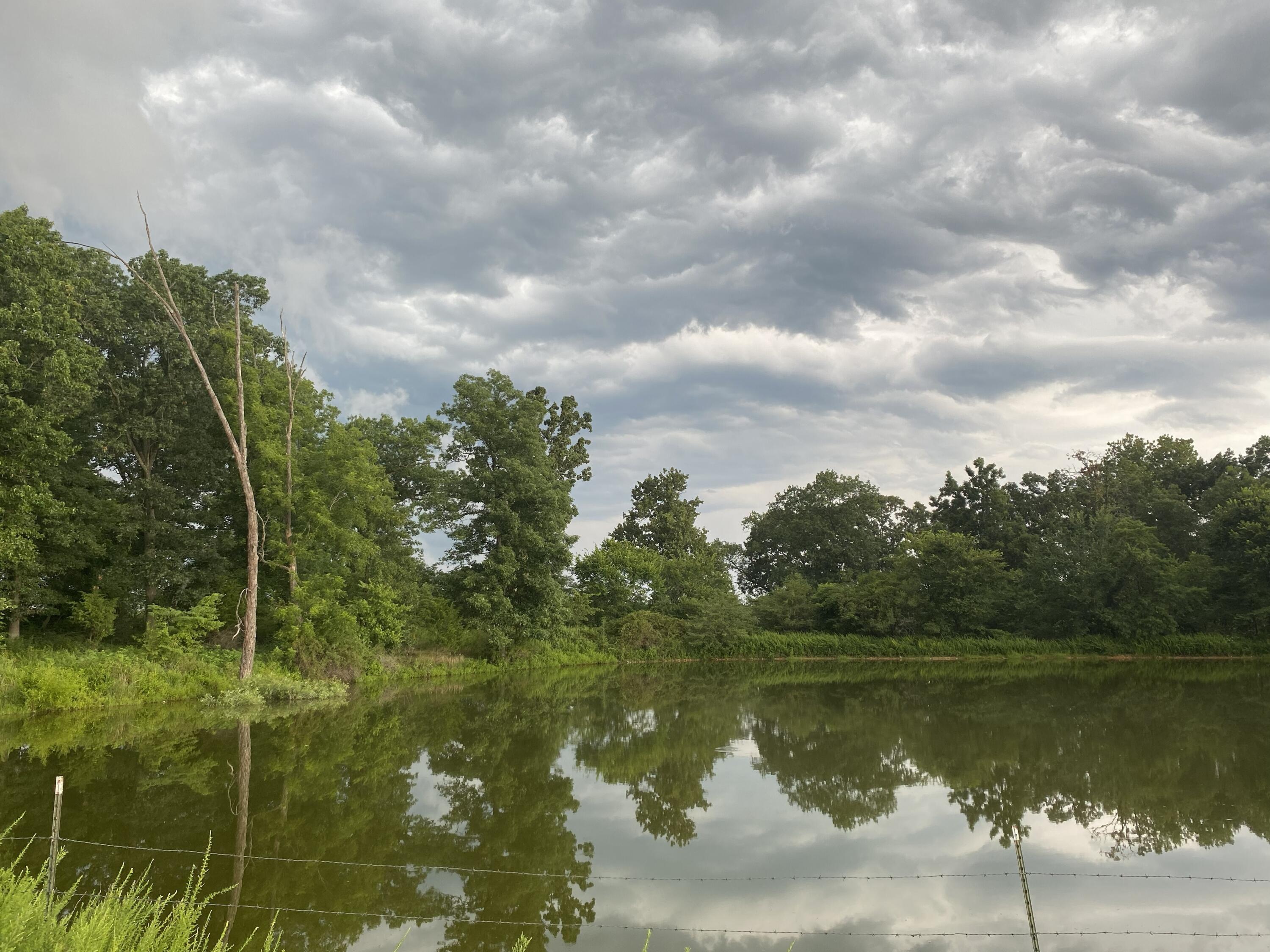 main property photo 65