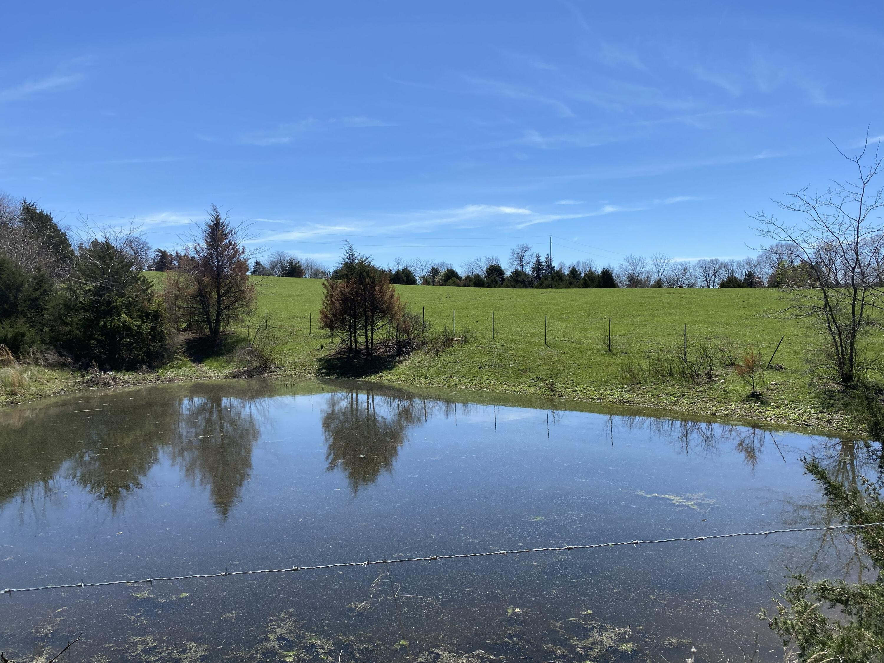 main property photo 67