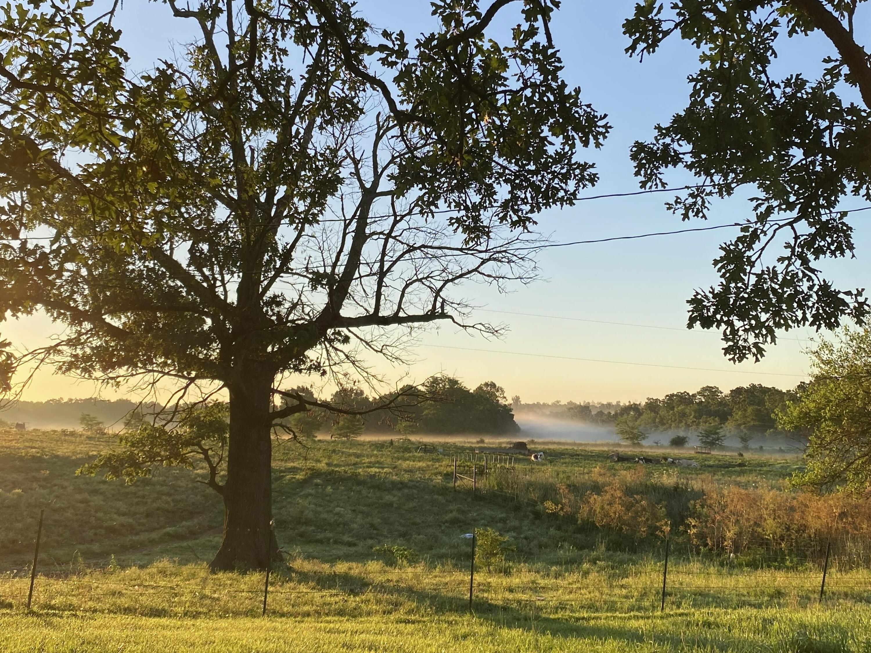 main property photo 69
