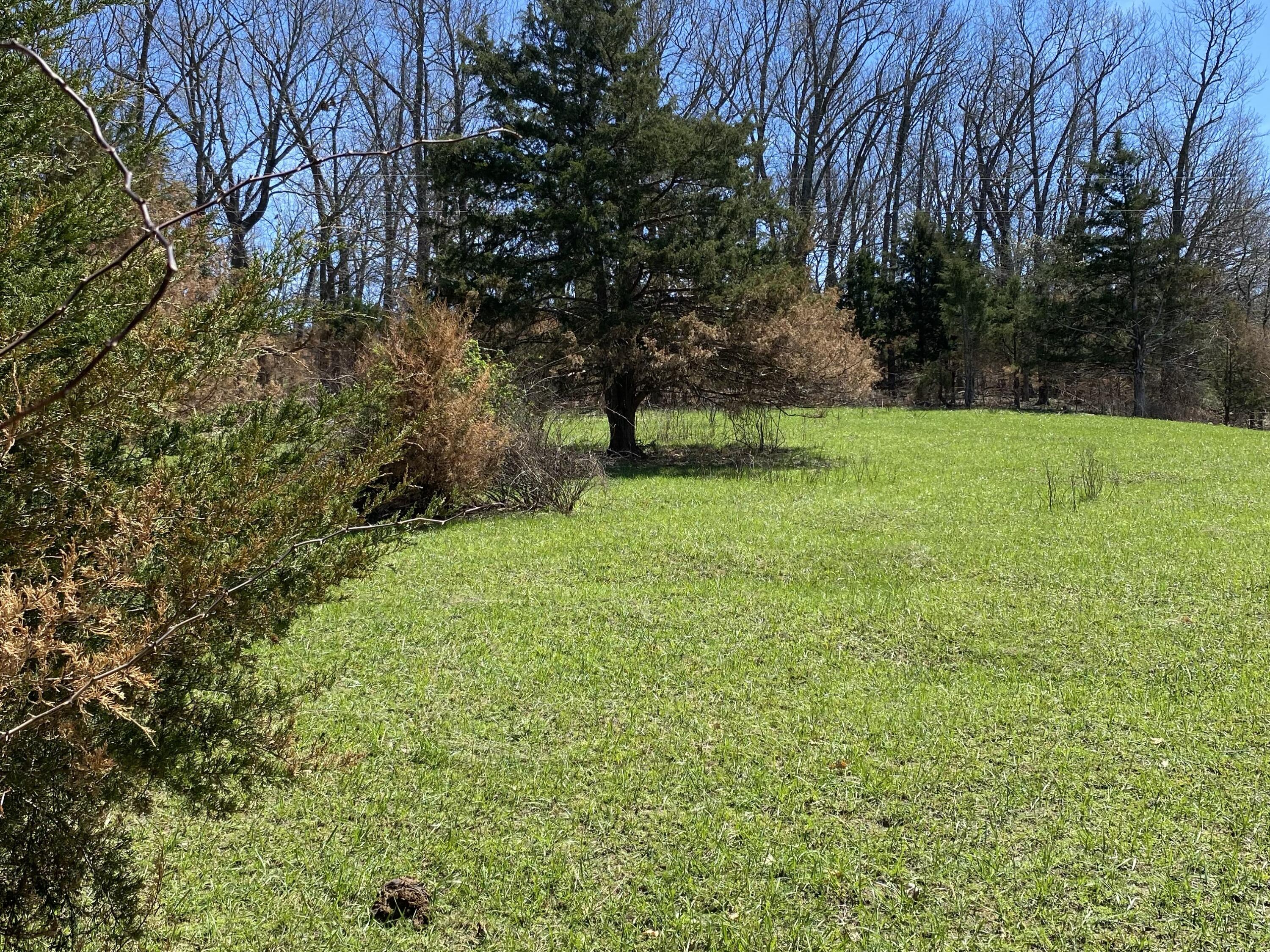 main property photo 70