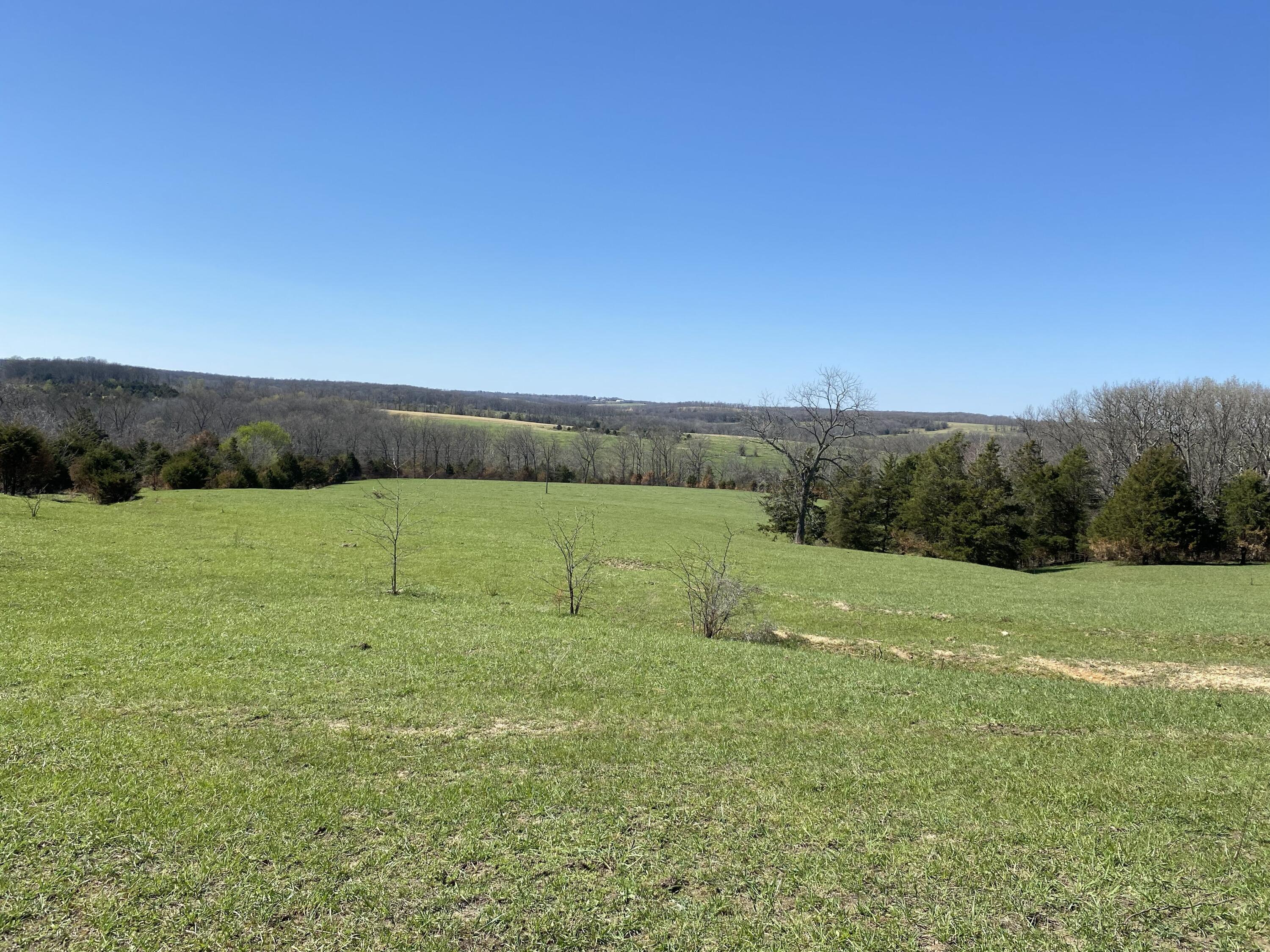 main property photo 74