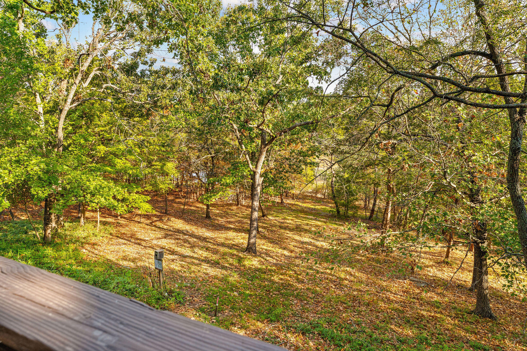 main property photo 45