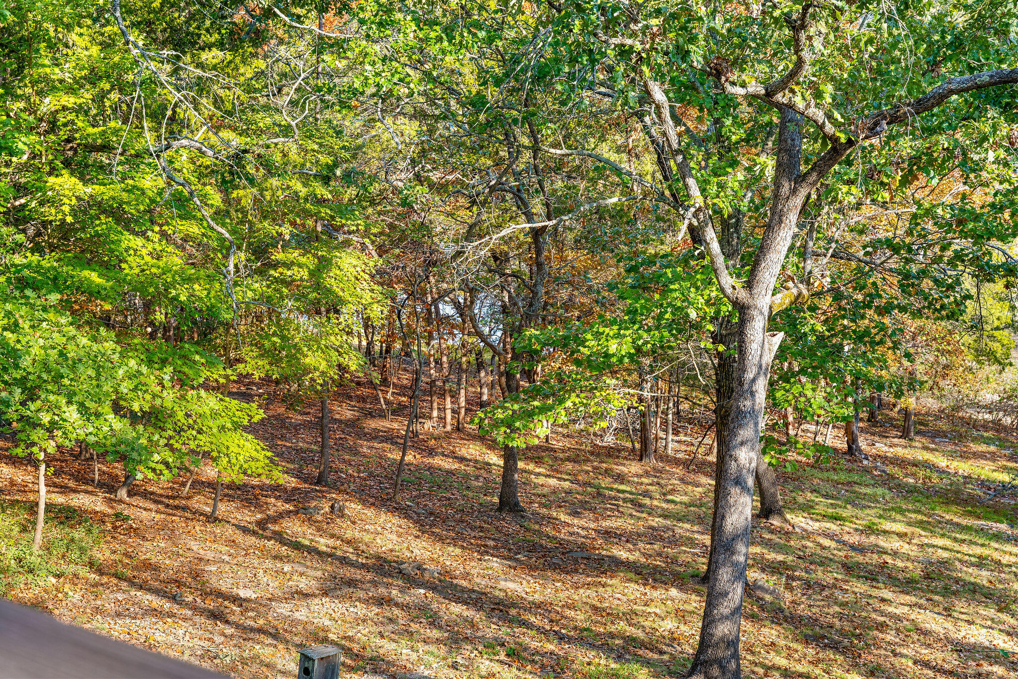 main property photo 46