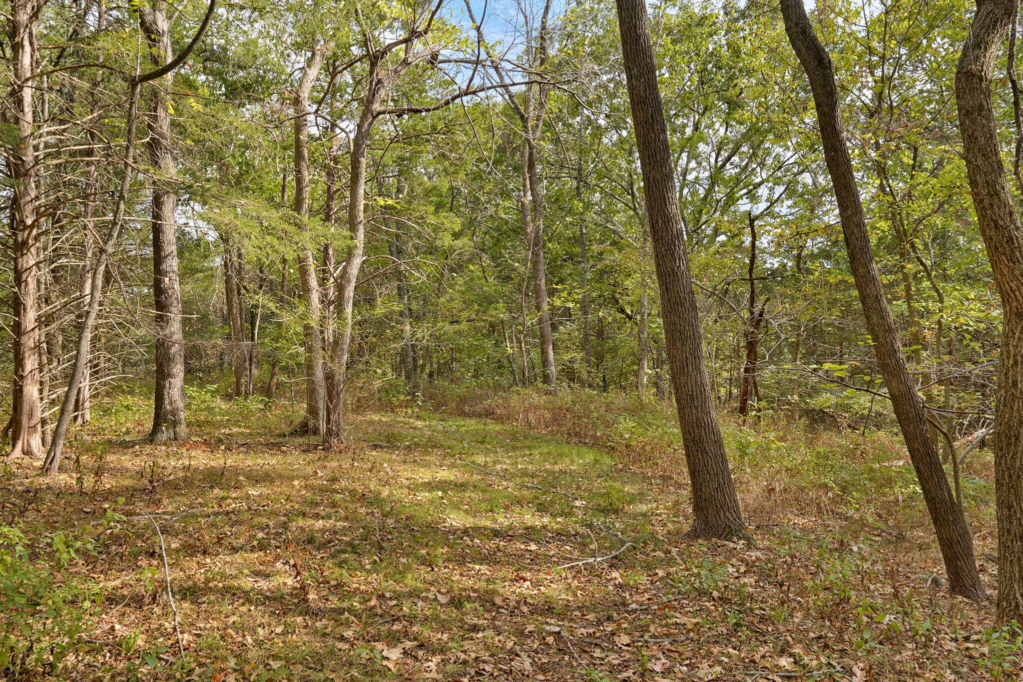 main property photo 42